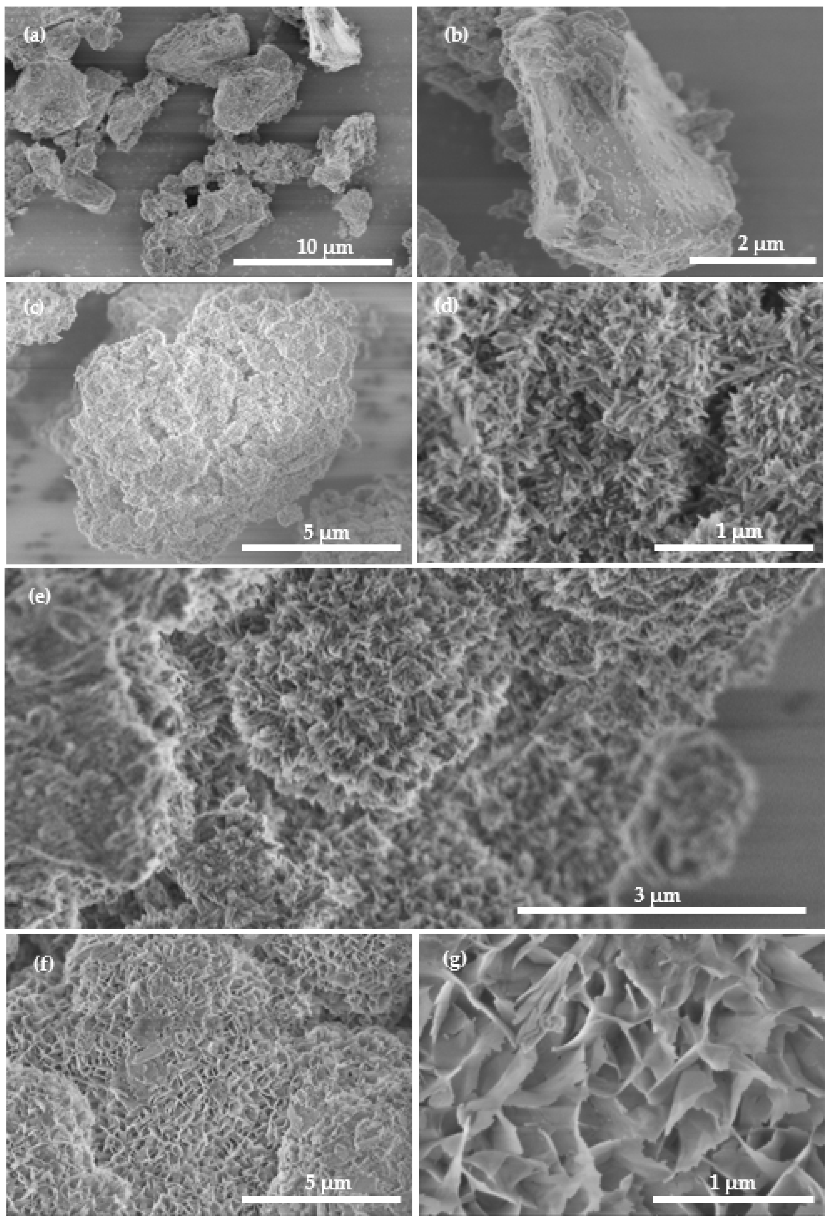Molecules 27 05565 g002 550