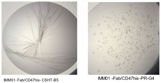 Crystal Structure of Human CD47 in Complex with Engineered Crystal Structure of Human CD47 in Complex with Engineered