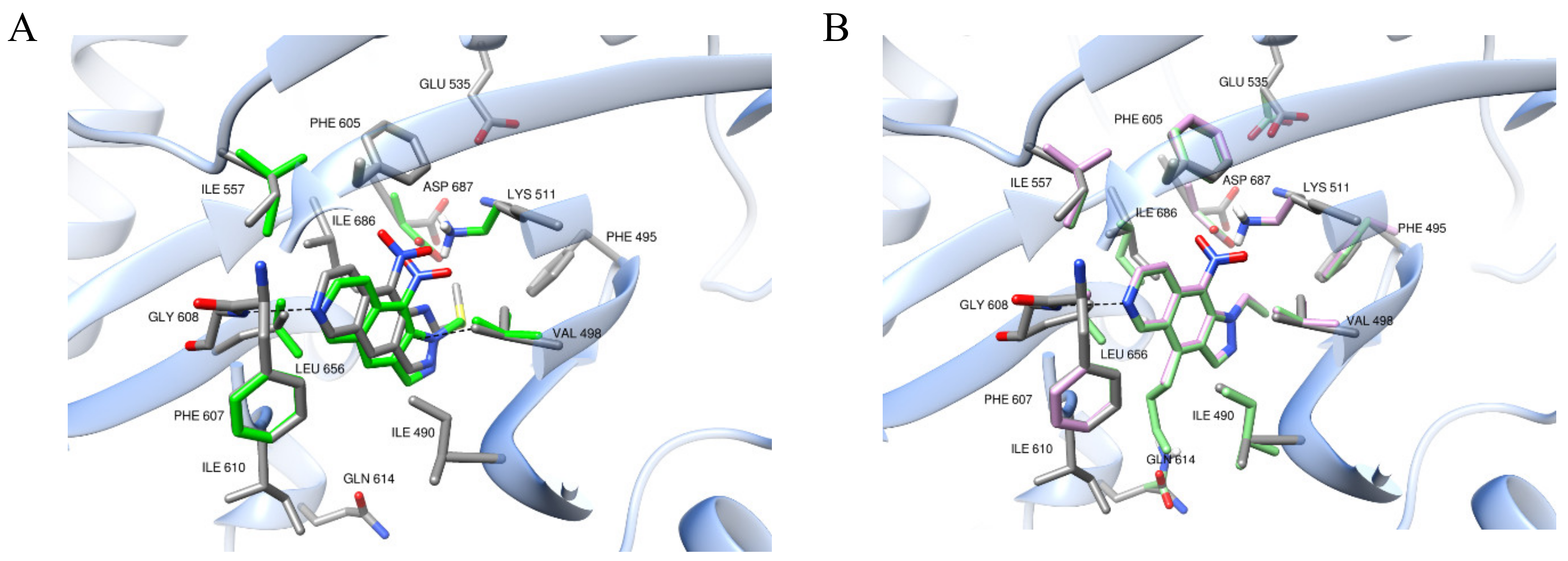 Molecules 27 05578 g002 550