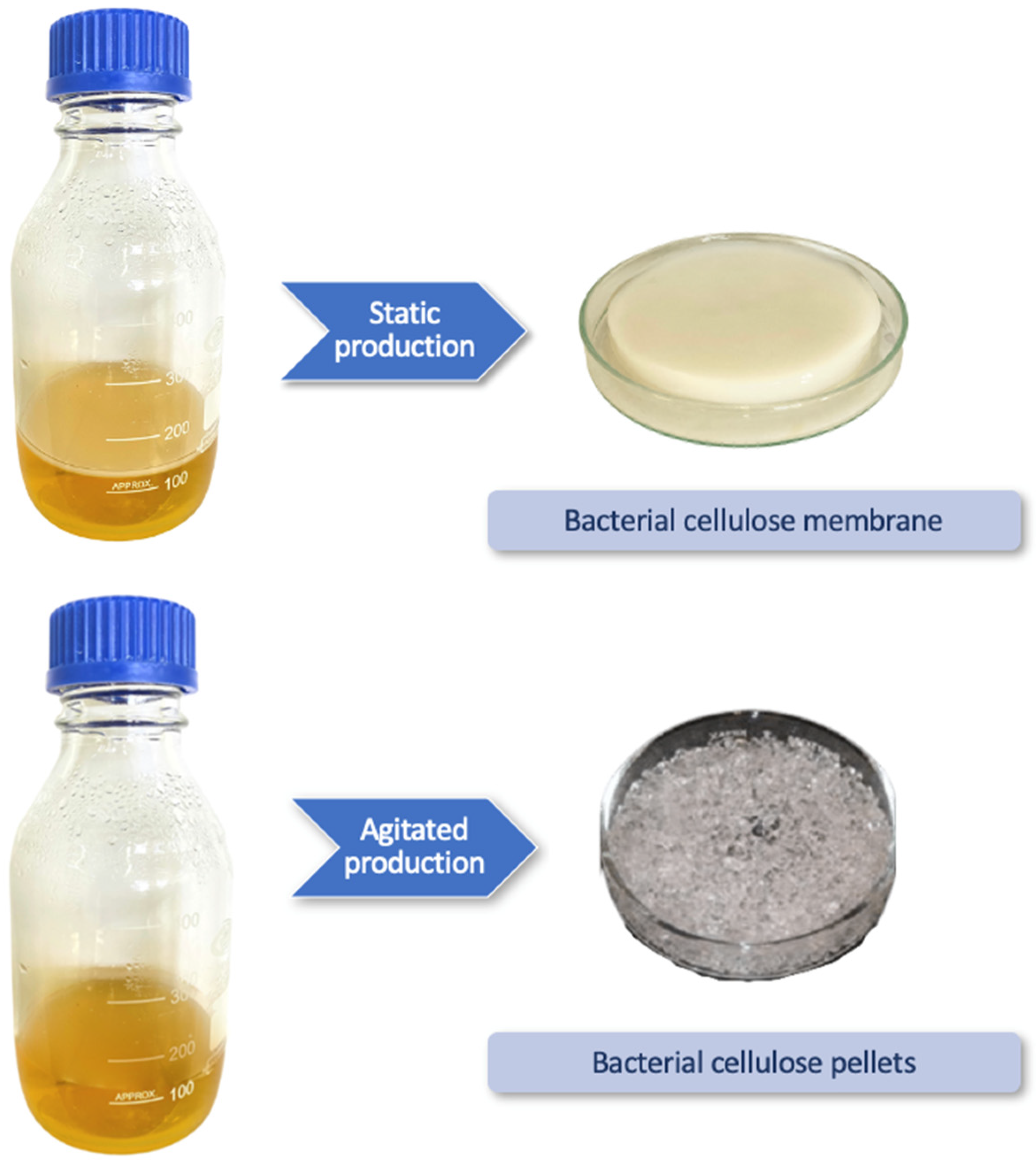 Molecules 27 05580 g002 550
