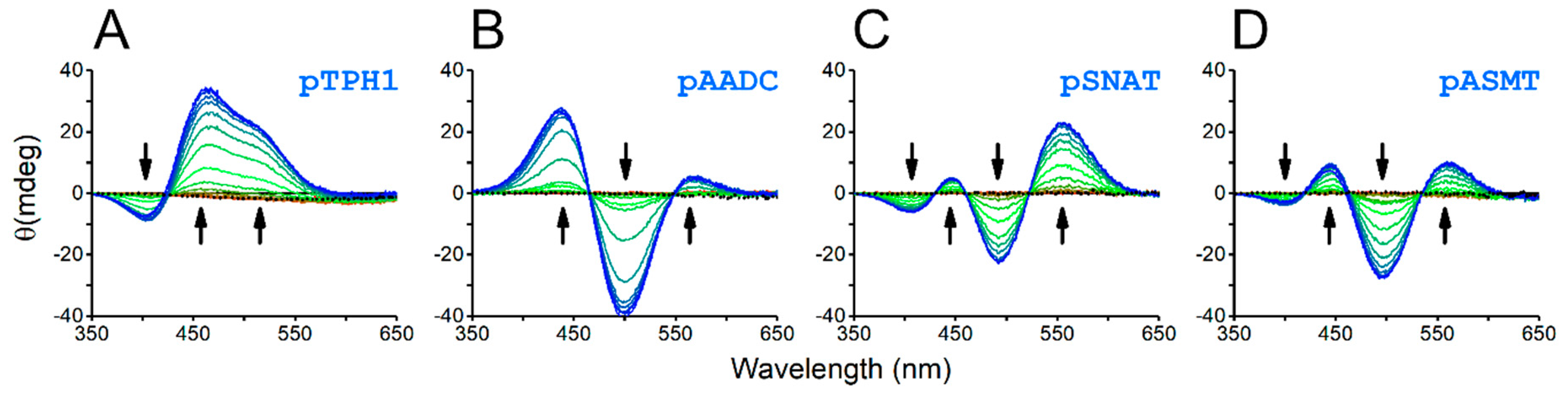 Molecules 27 05582 g004