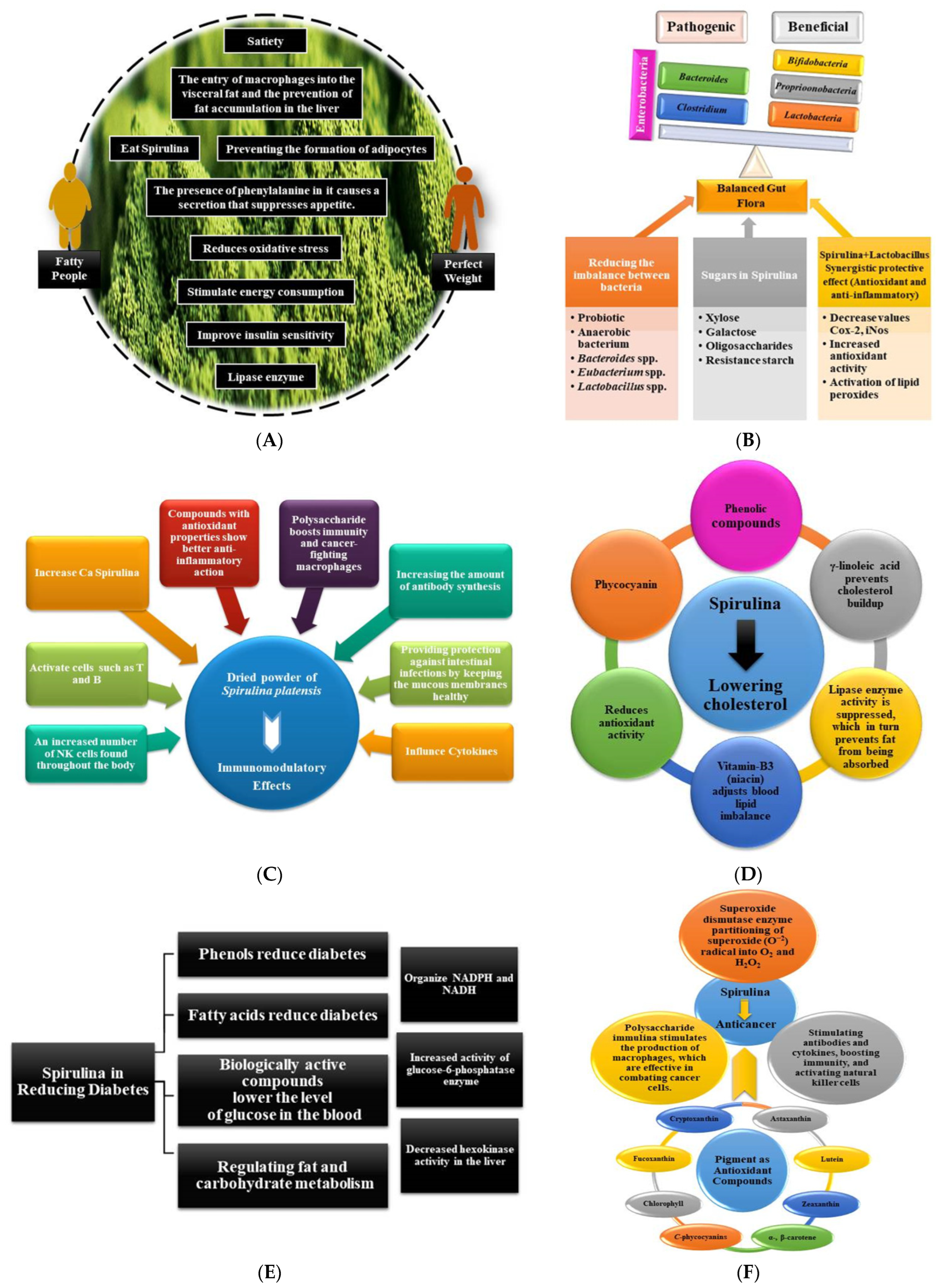 Molecules 27 05584 g003