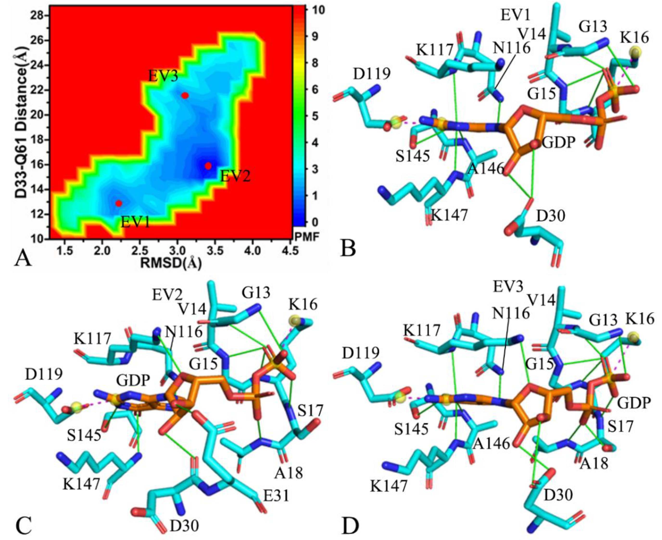 Molecules 27 05596 g006