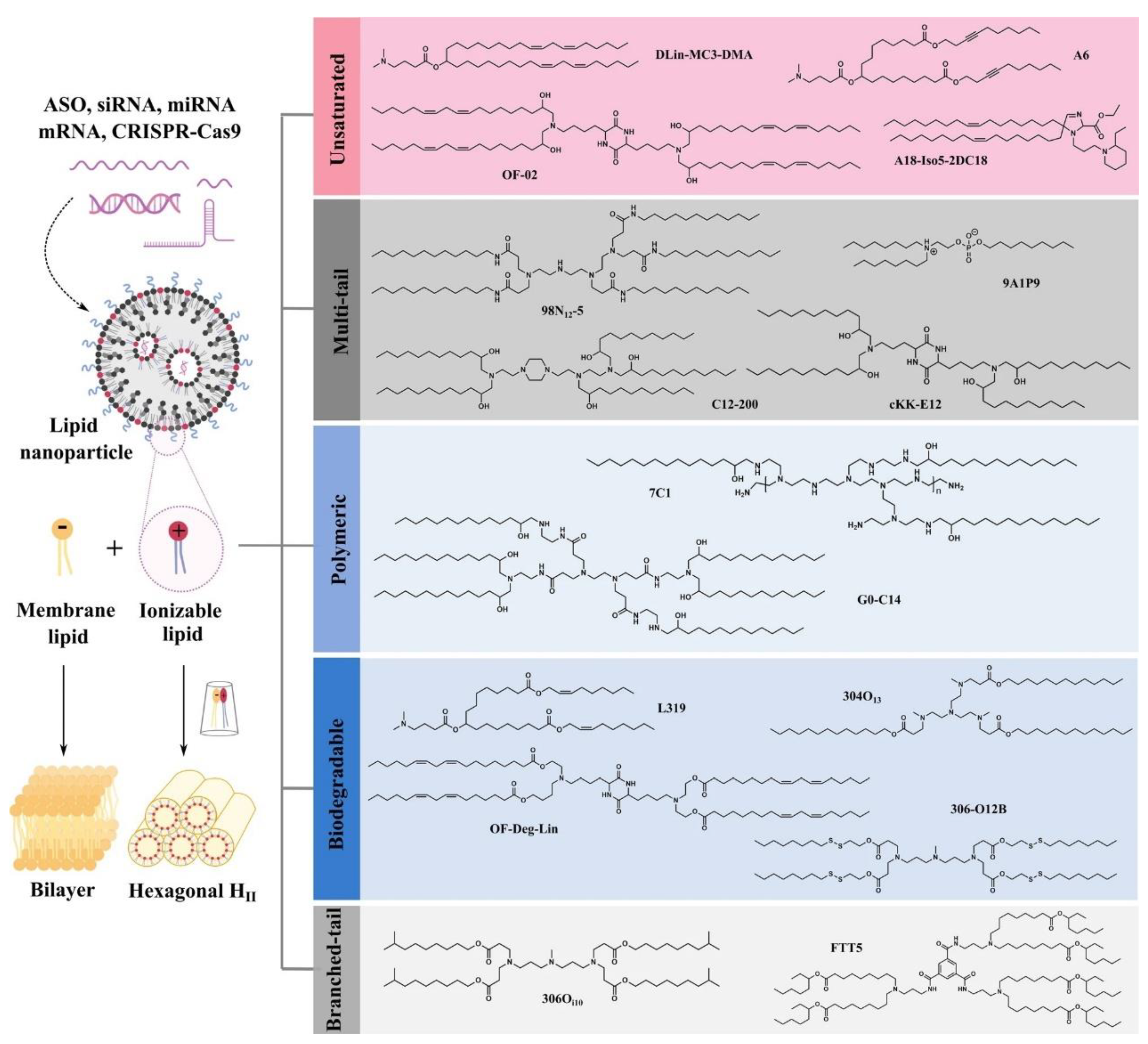 Molecules 27 05607 g004