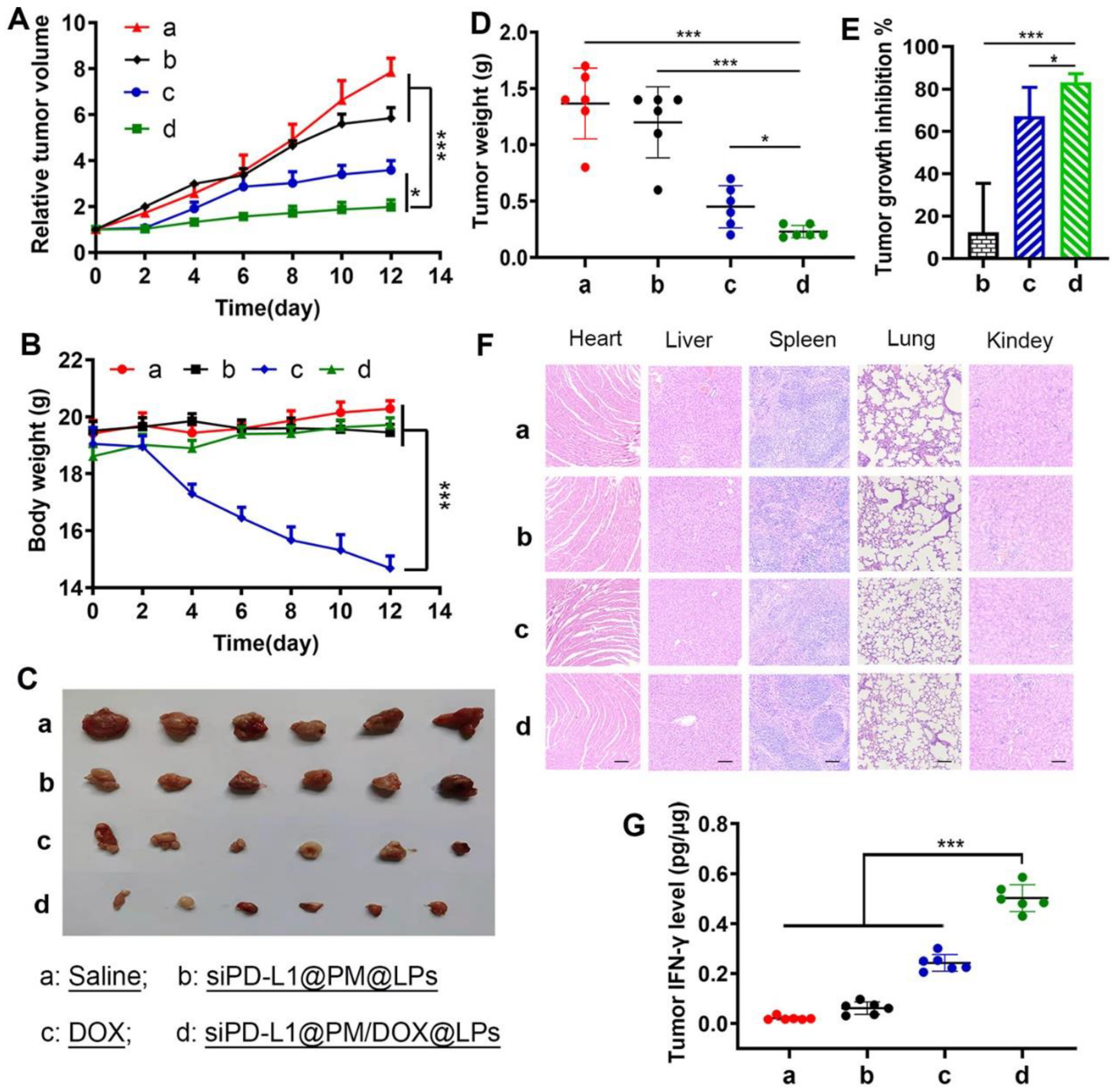 Molecules 27 05607 g005