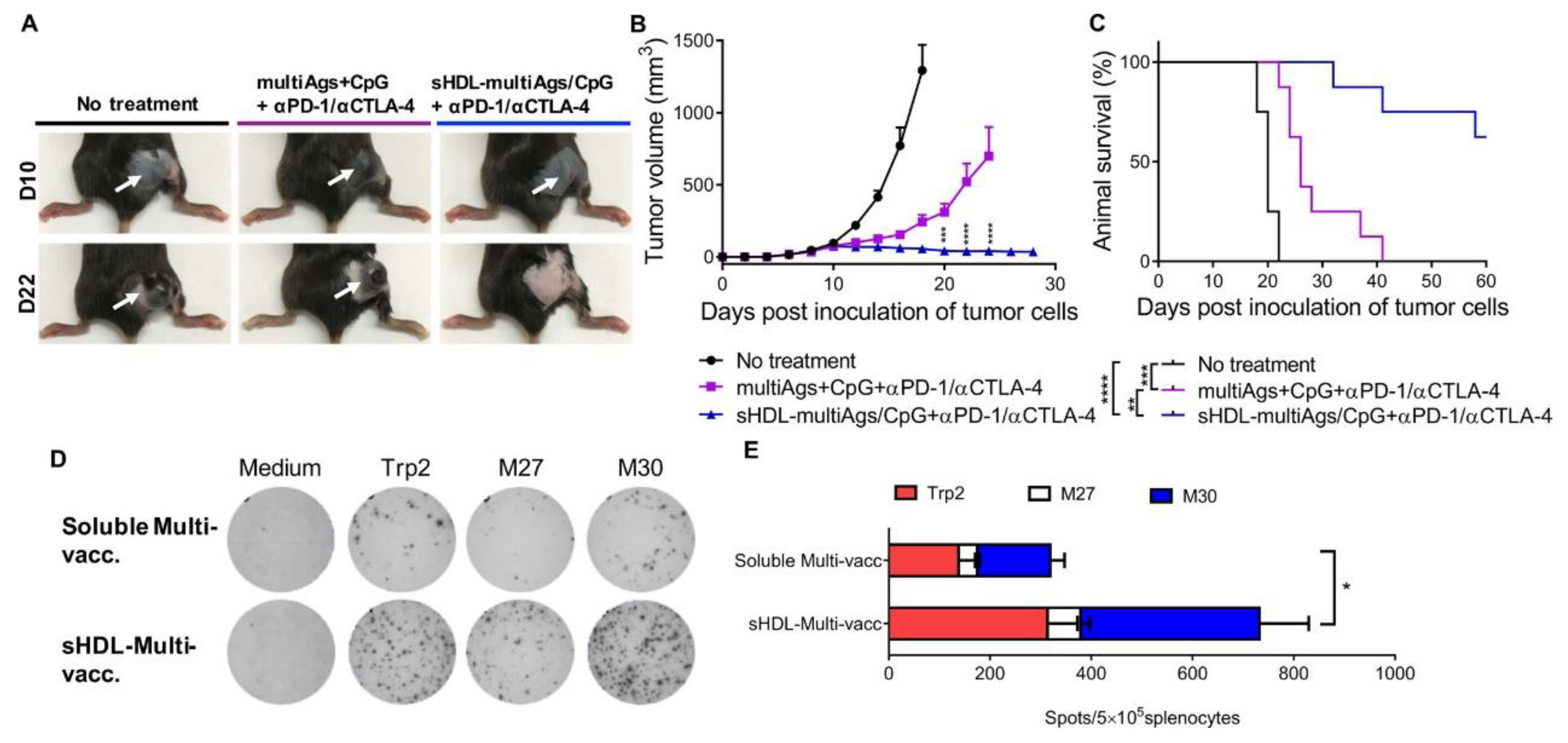 Molecules 27 05607 g006