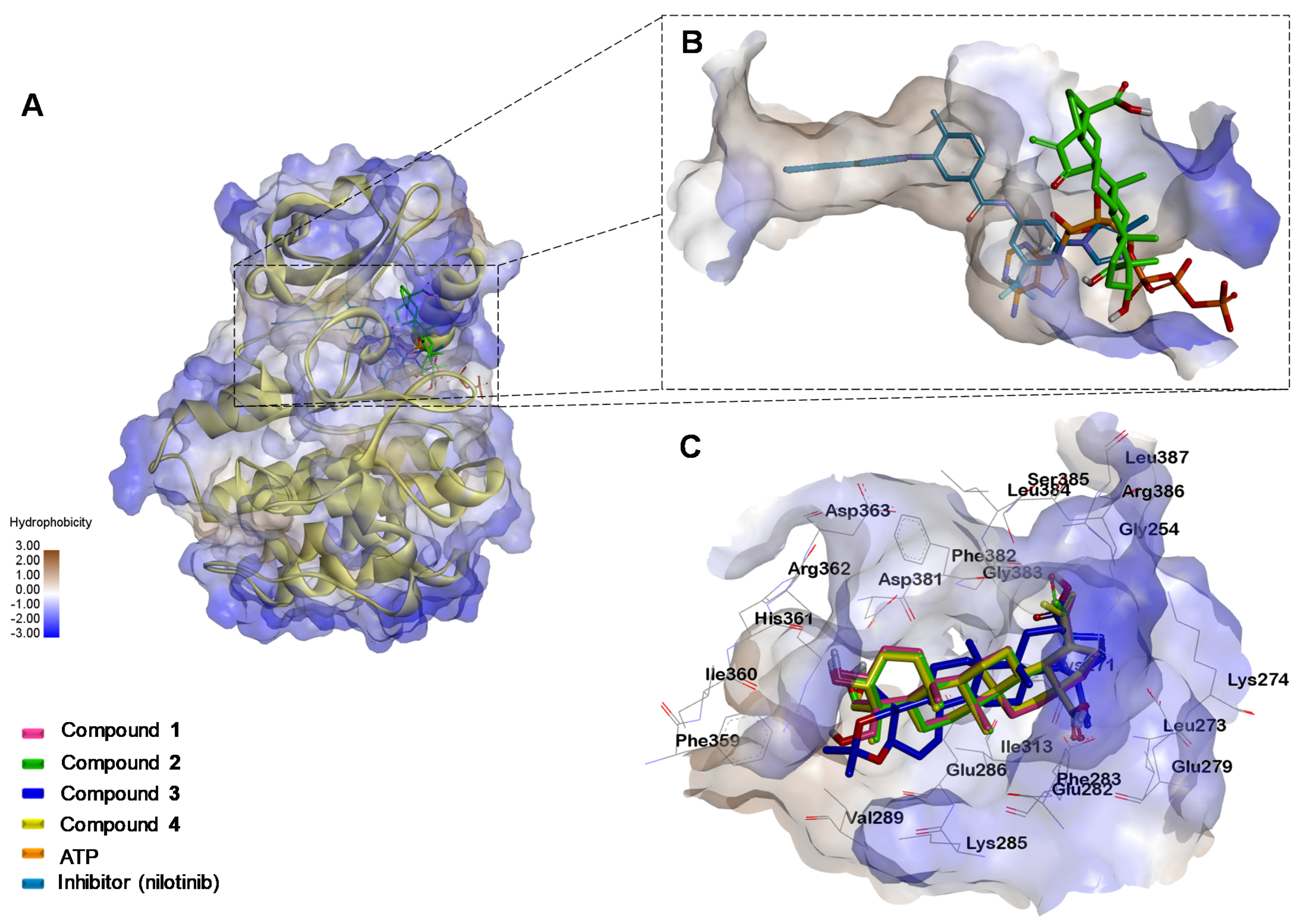 Molecules 27 05616 g006