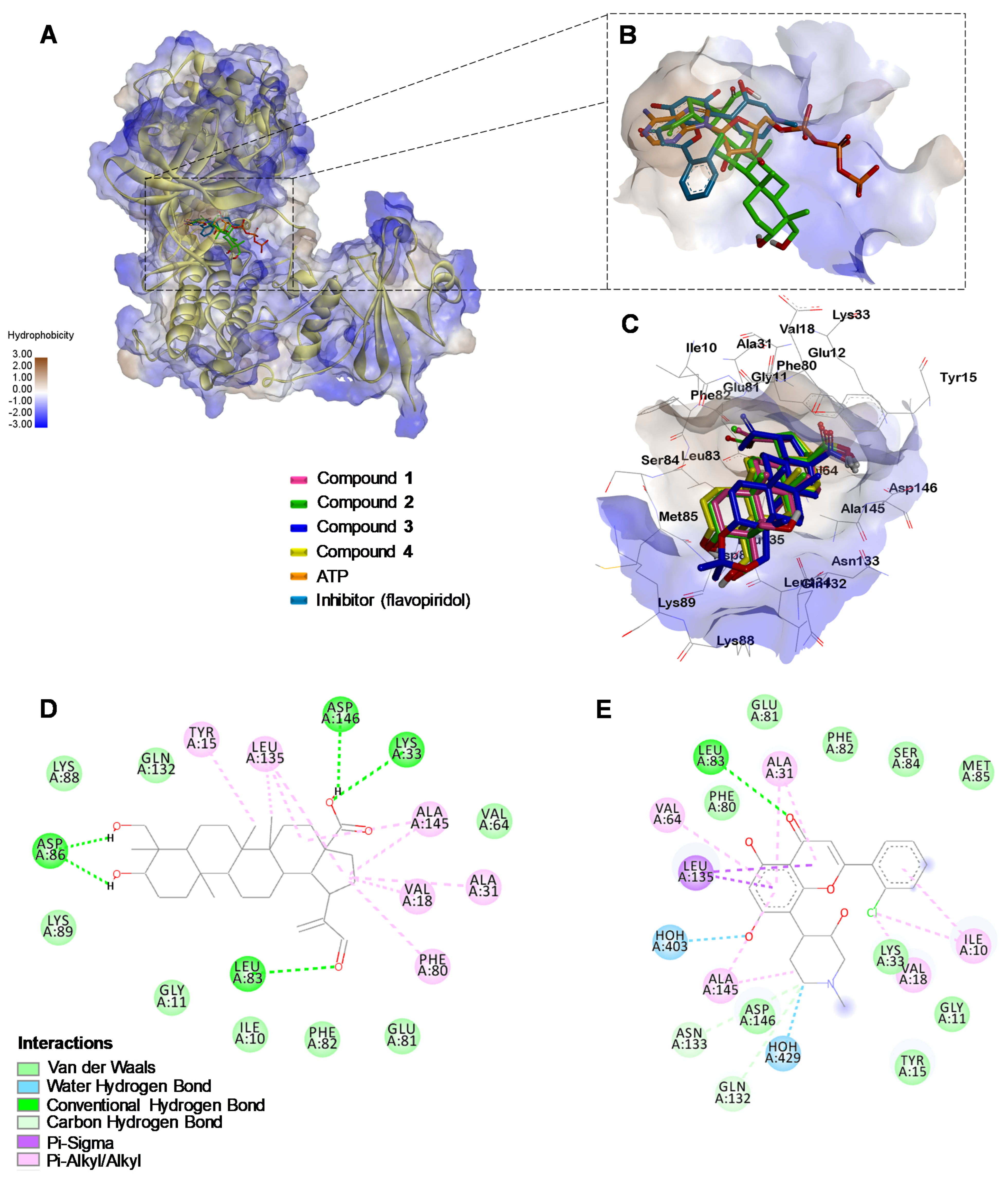 Molecules 27 05616 g007