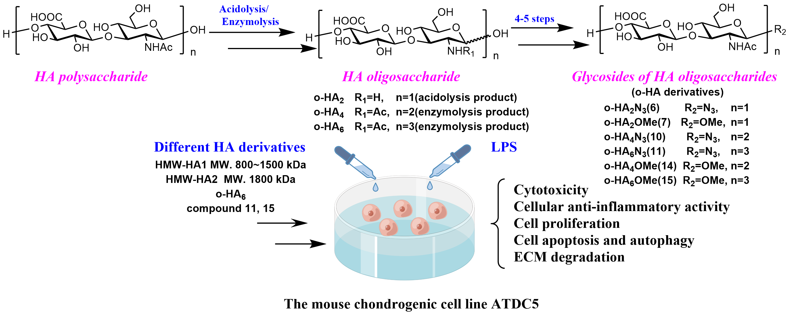 Molecules 27 05619 g001