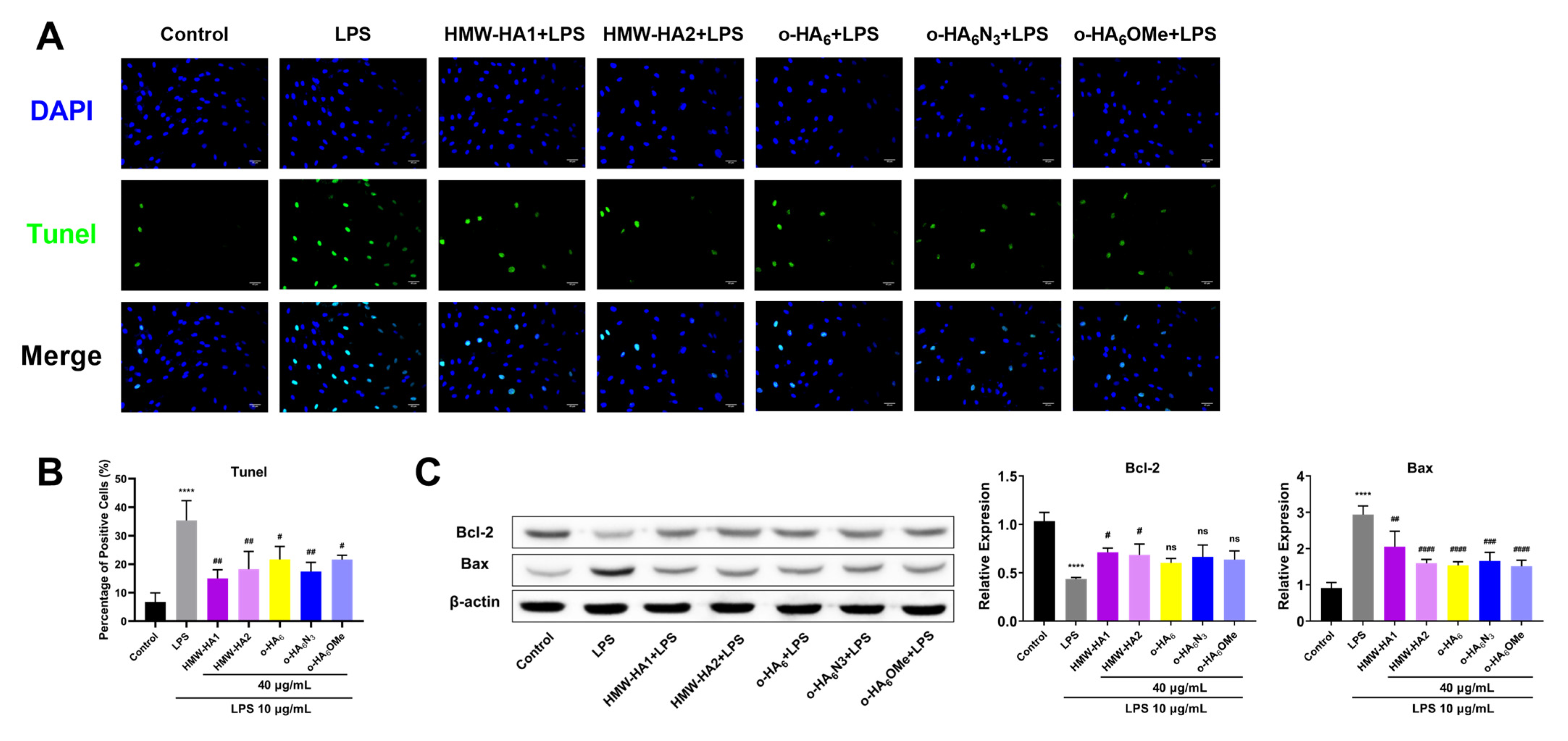 Molecules 27 05619 g008