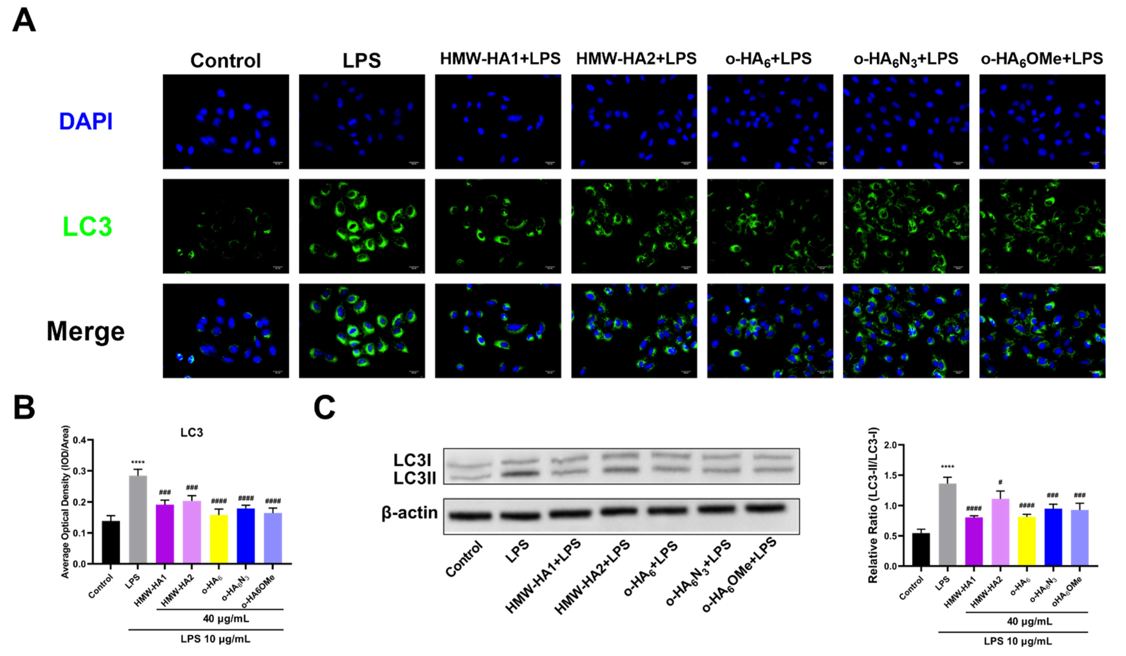 Molecules 27 05619 g009
