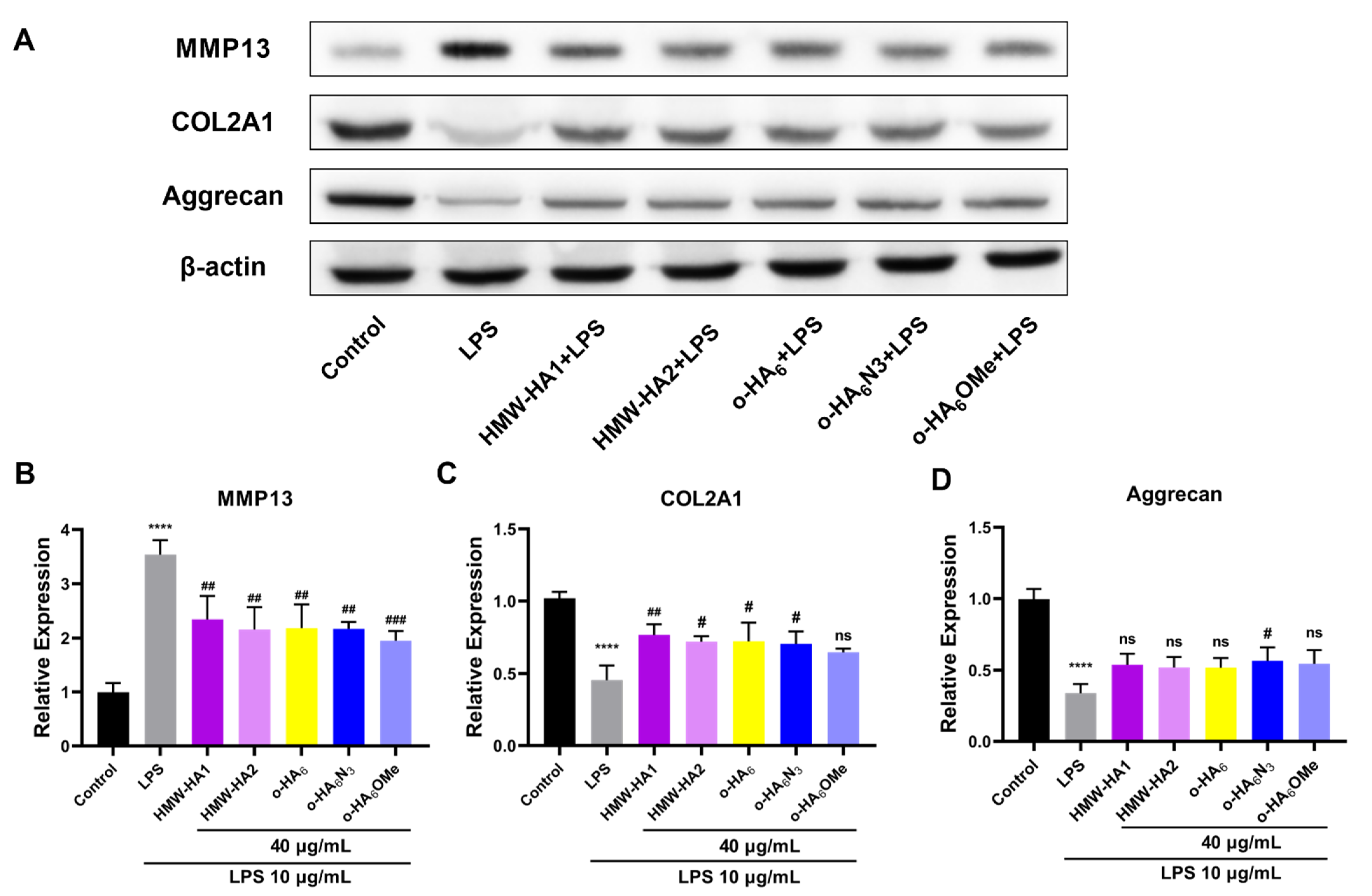 Molecules 27 05619 g010