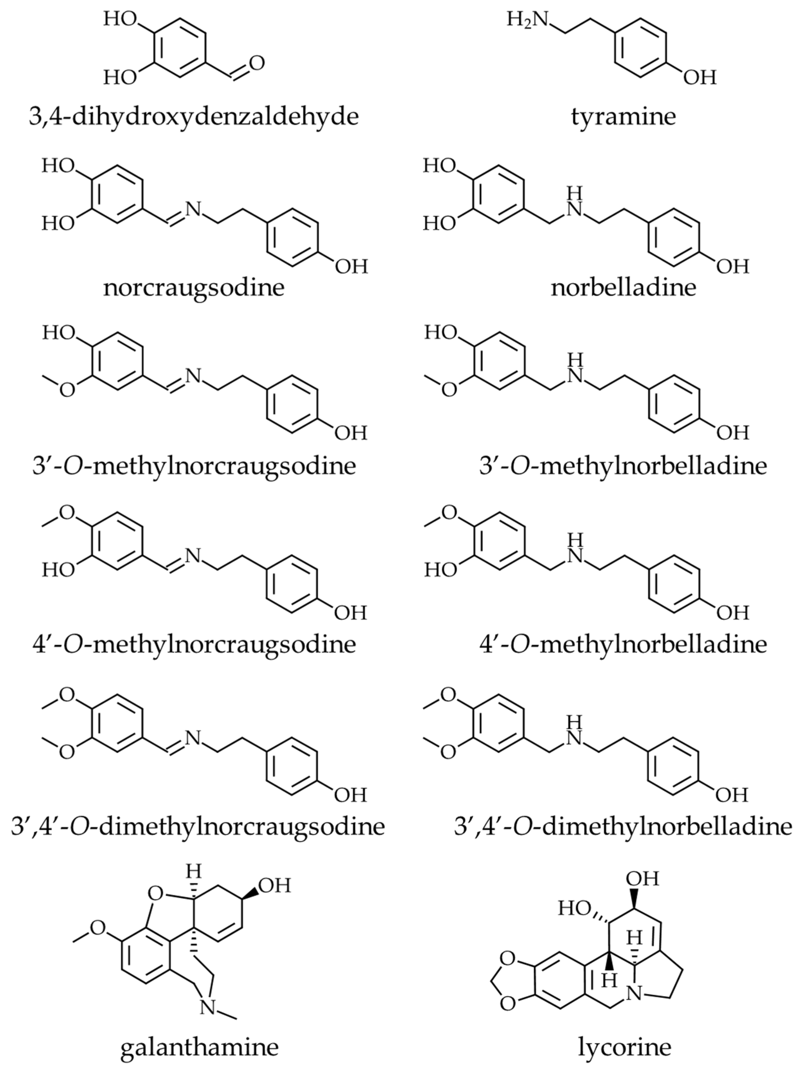 Molecules 27 05621 g001