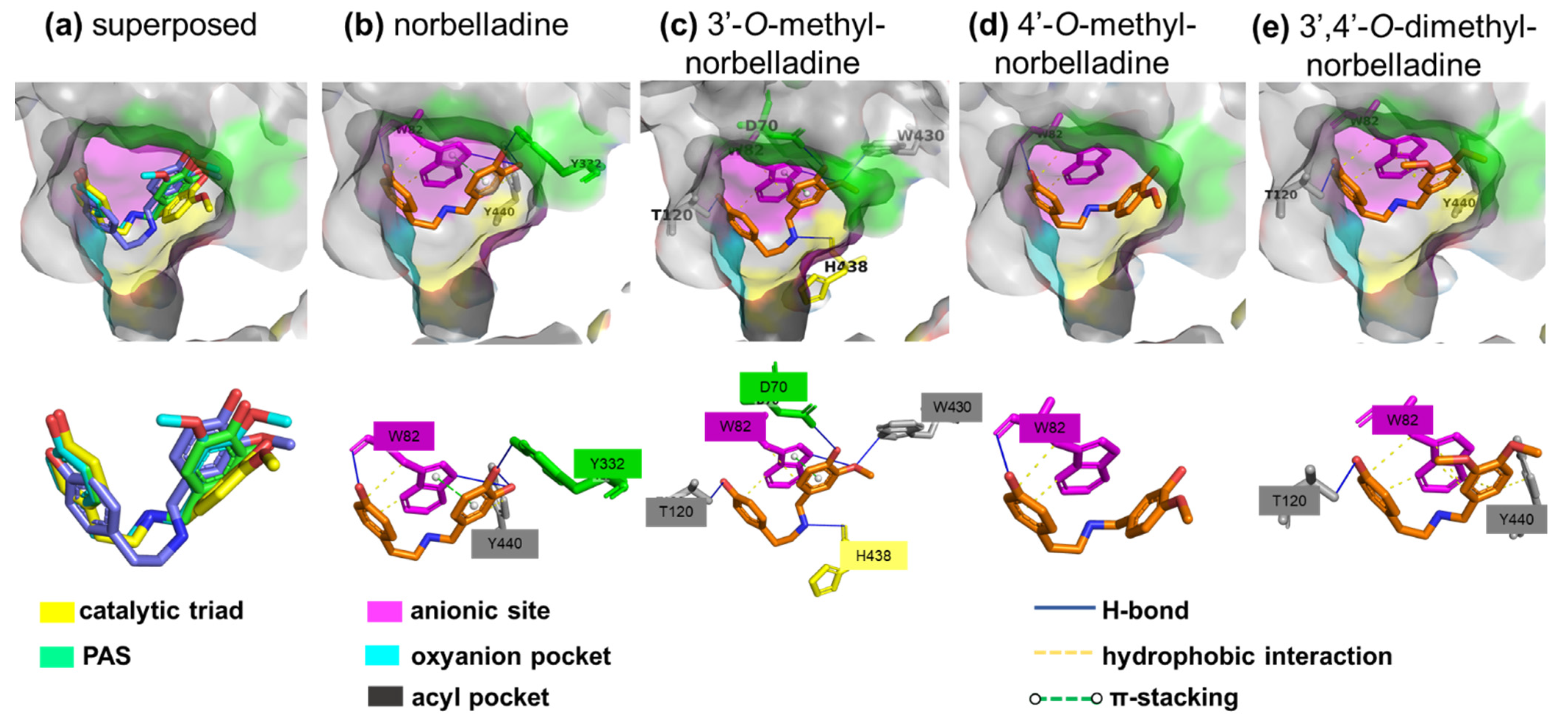 Molecules 27 05621 g006