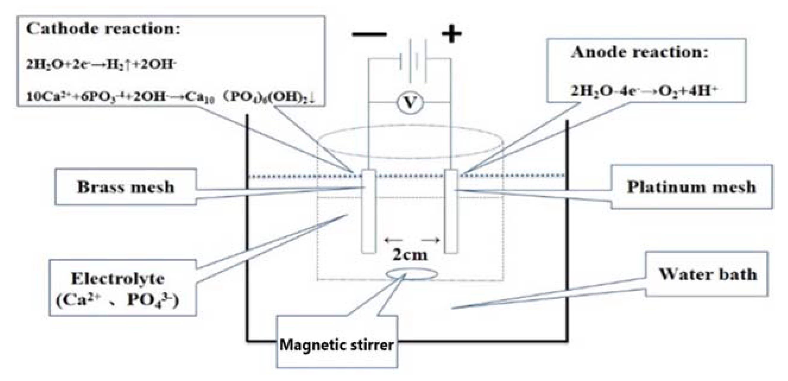 Molecules 27 05624 sch001 550