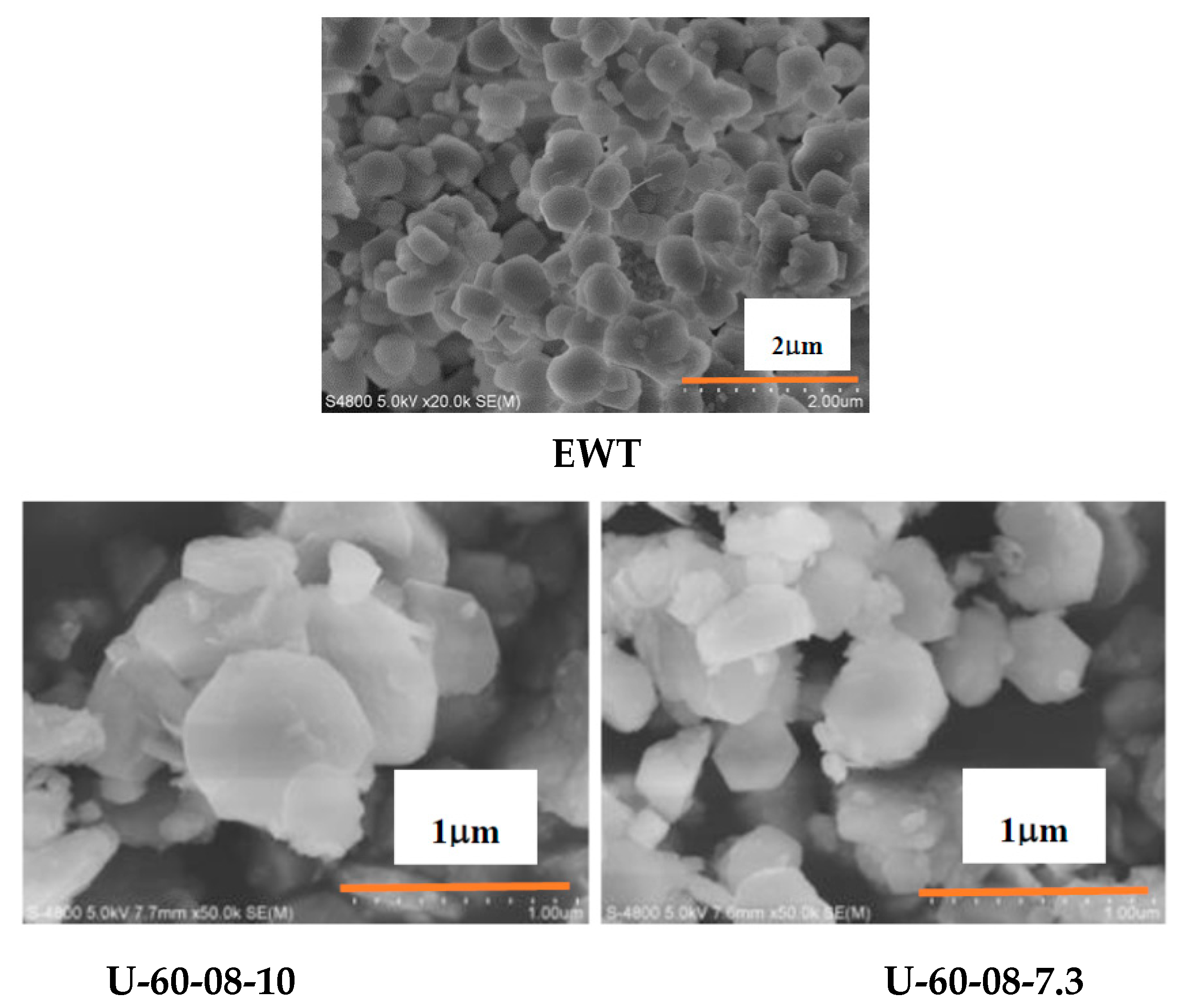 Molecules 27 05625 g008a