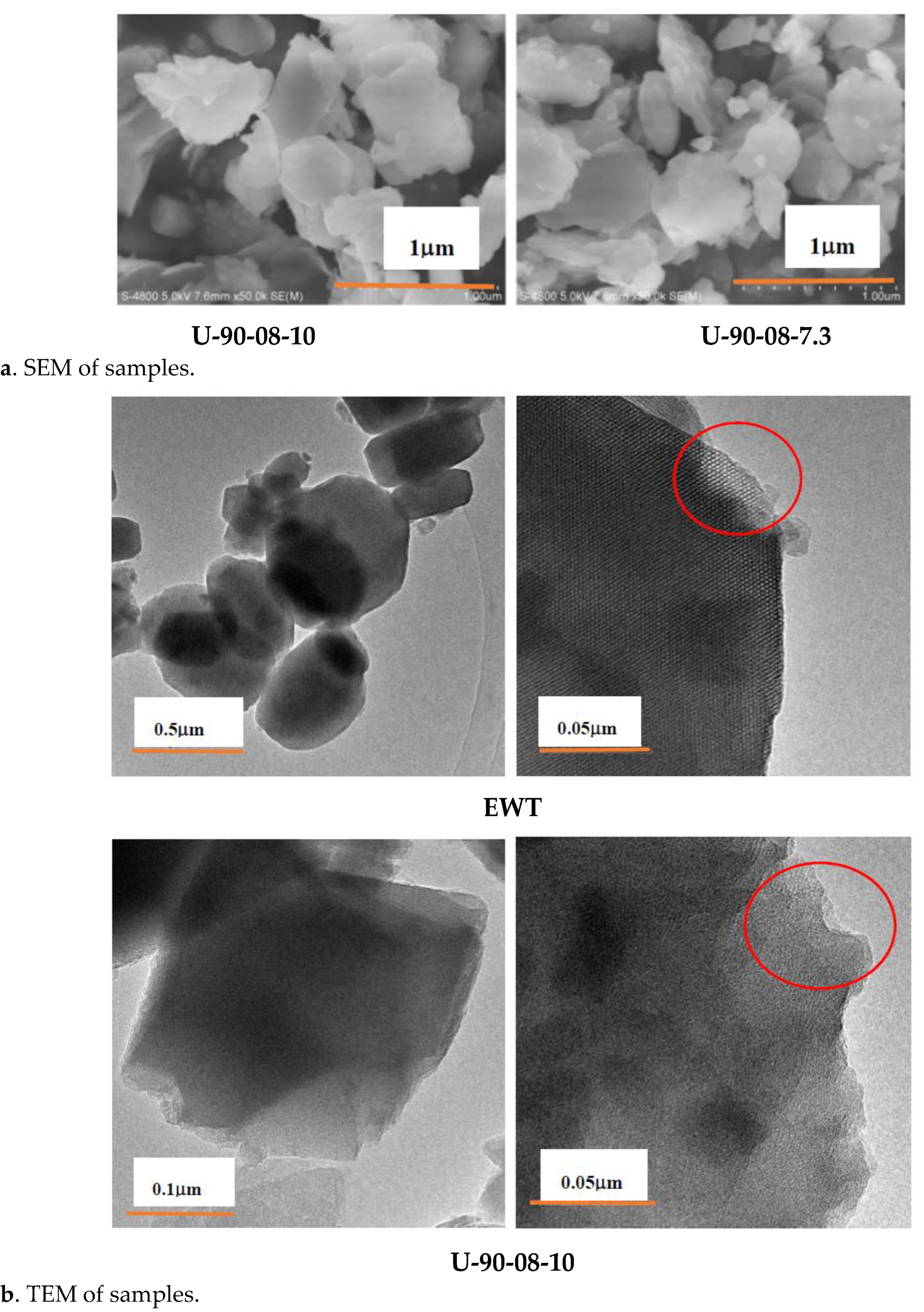 Molecules 27 05625 g008b