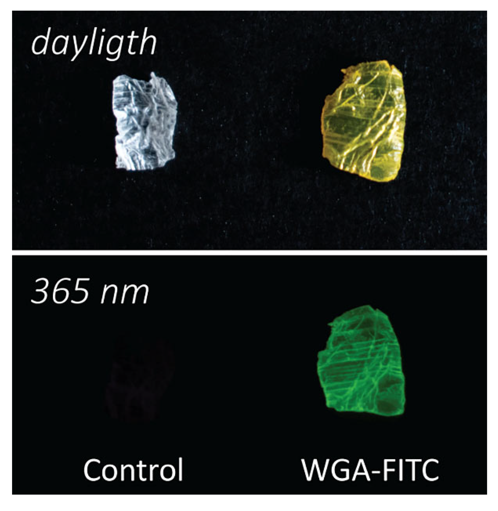Molecules 27 05633 g001