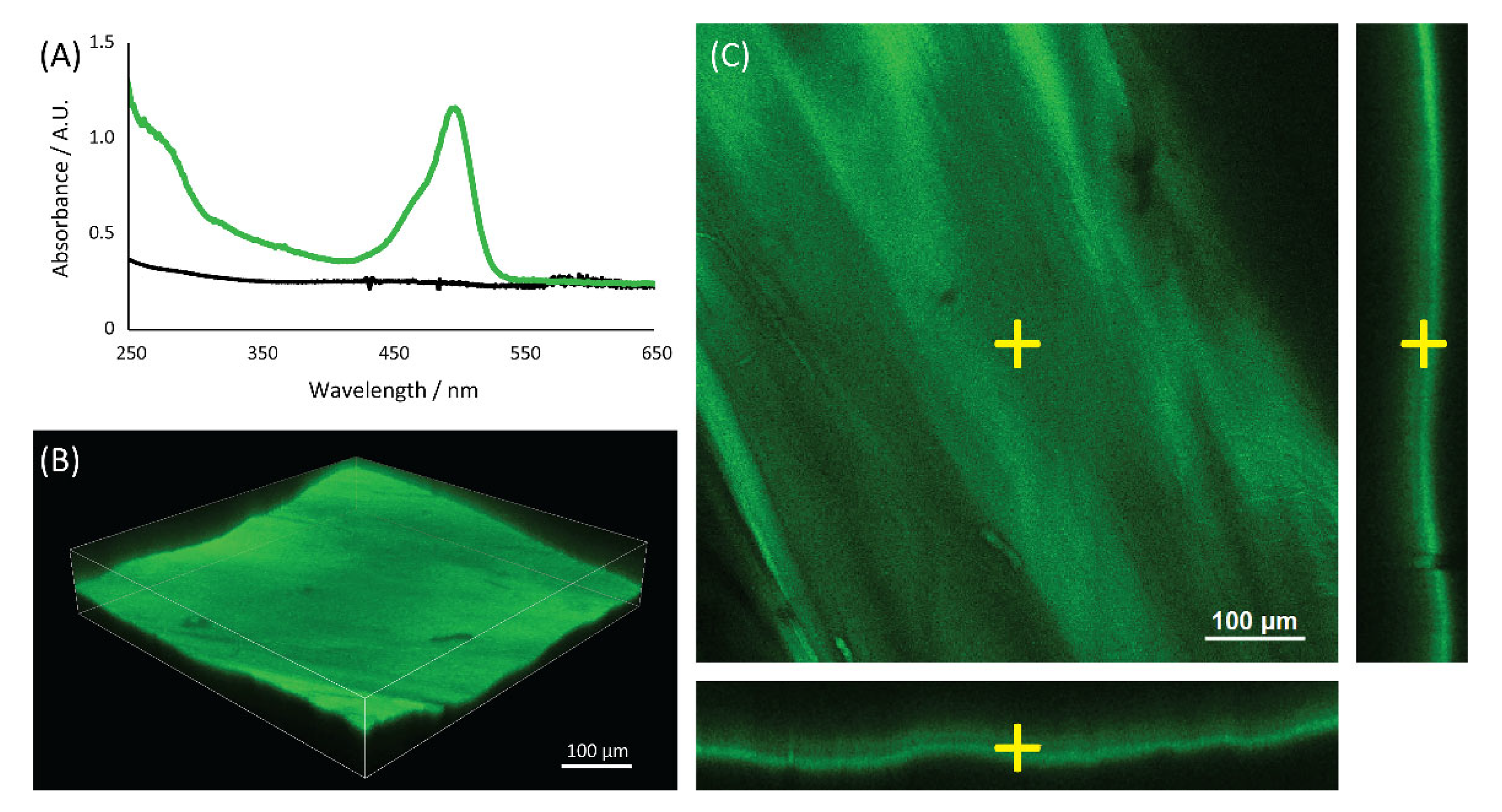 Molecules 27 05633 g002