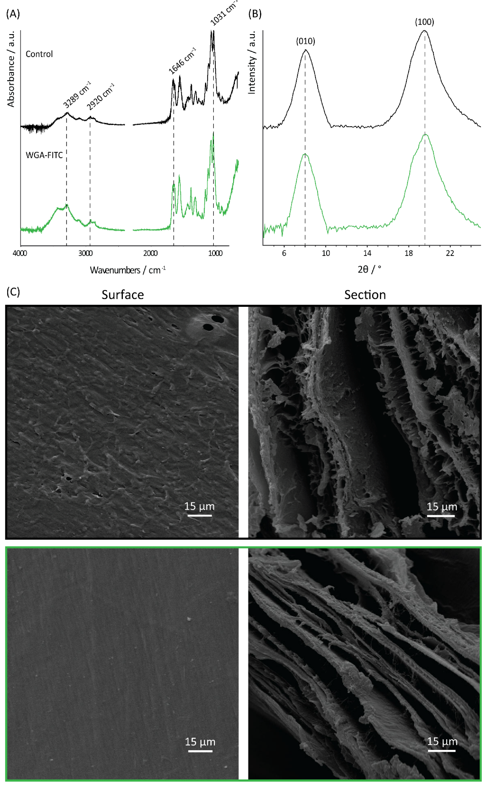 Molecules 27 05633 g003