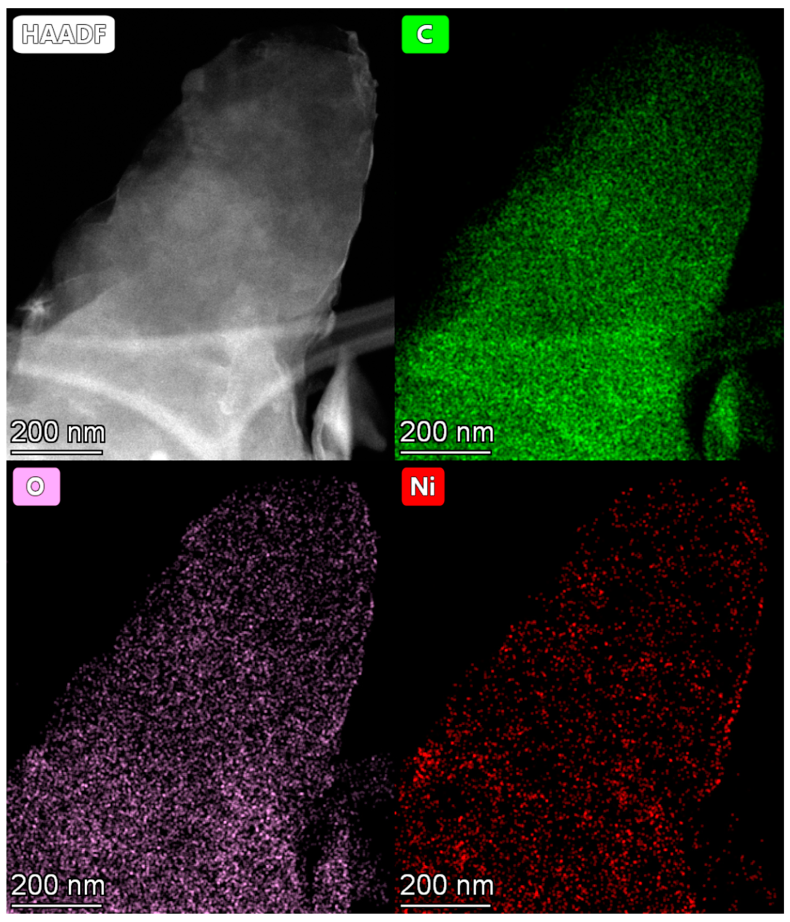 Molecules 27 05637 g004 550