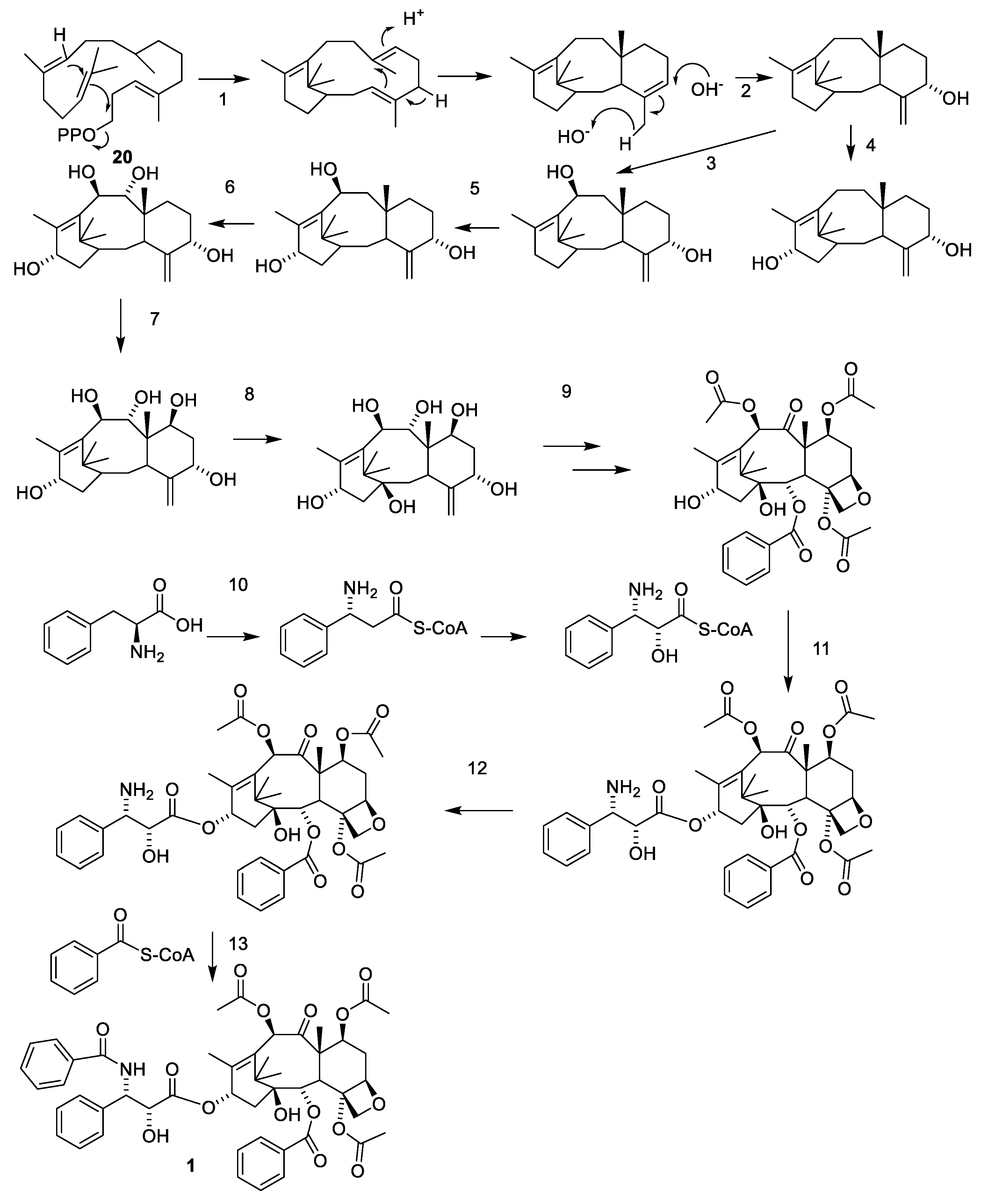 Molecules 27 05648 g006 550