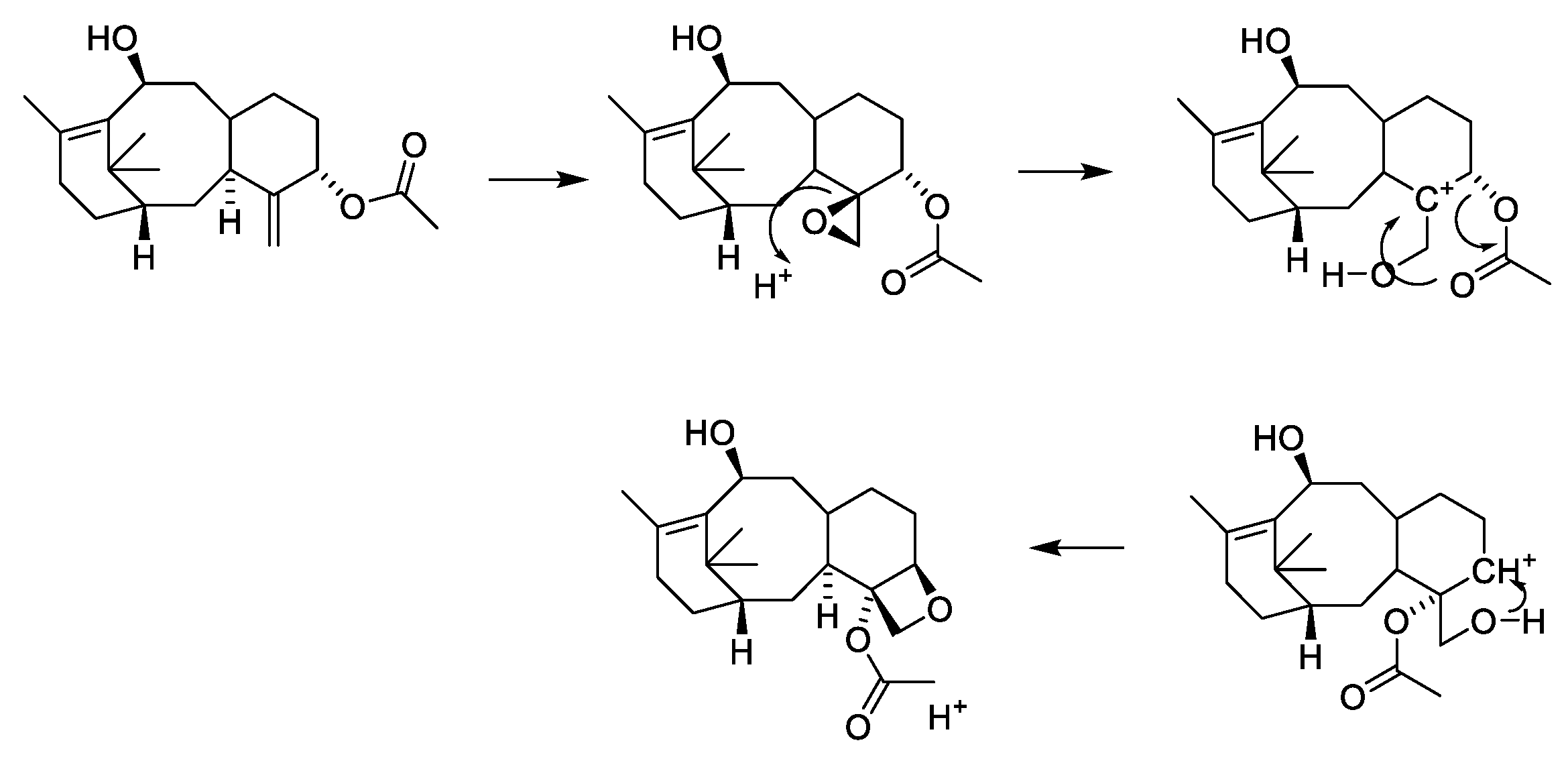 Molecules 27 05648 g007 550