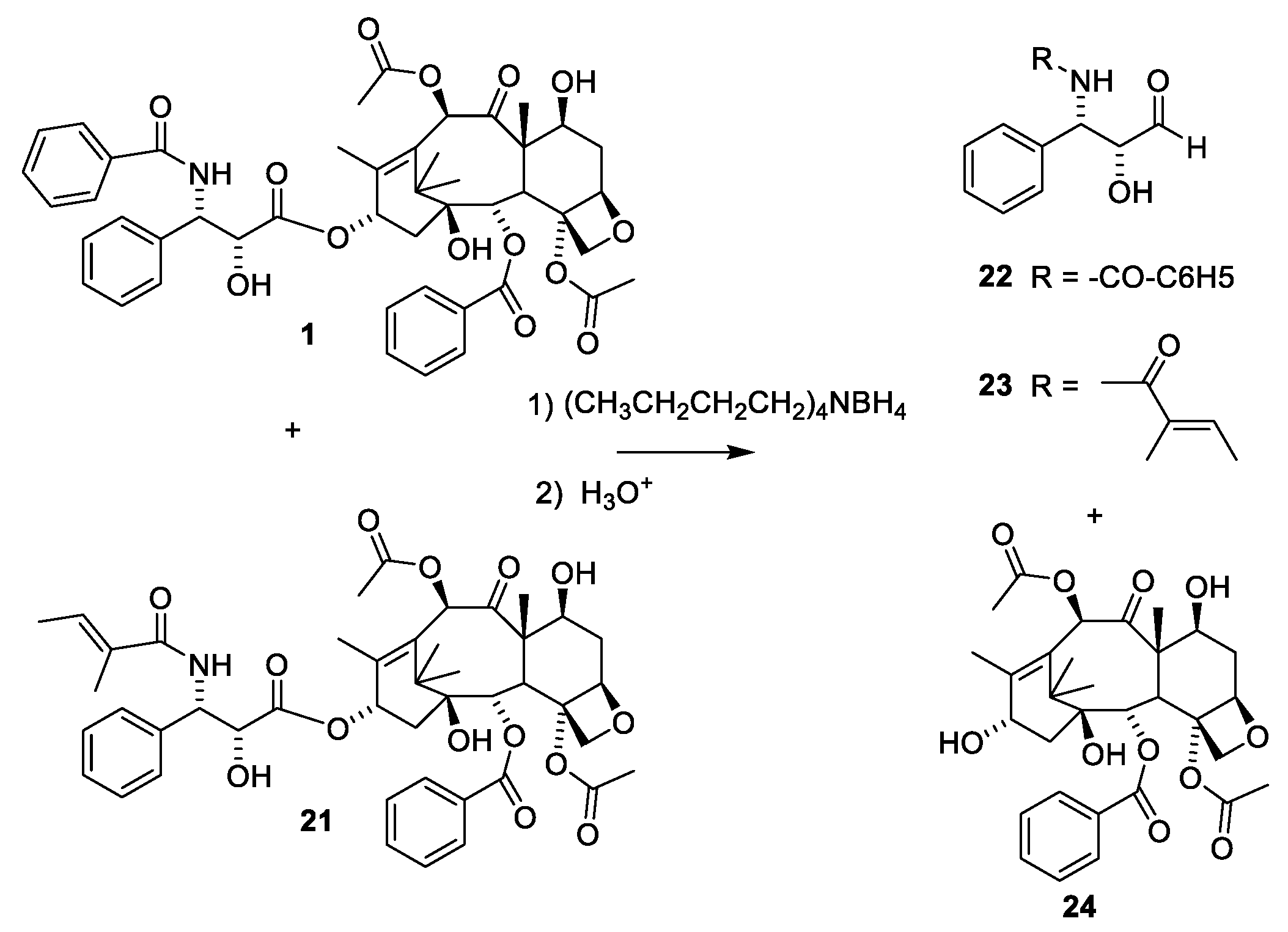 Molecules 27 05648 g008 550
