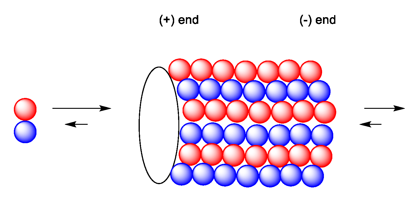 Molecules 27 05648 g015 550