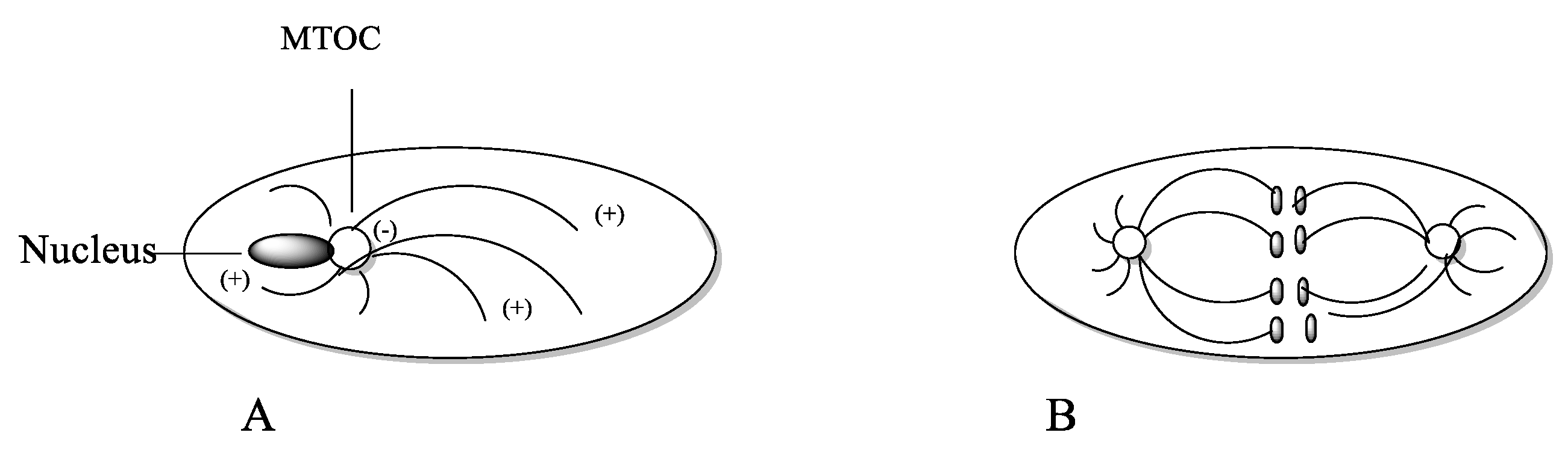 Molecules 27 05648 g016 550