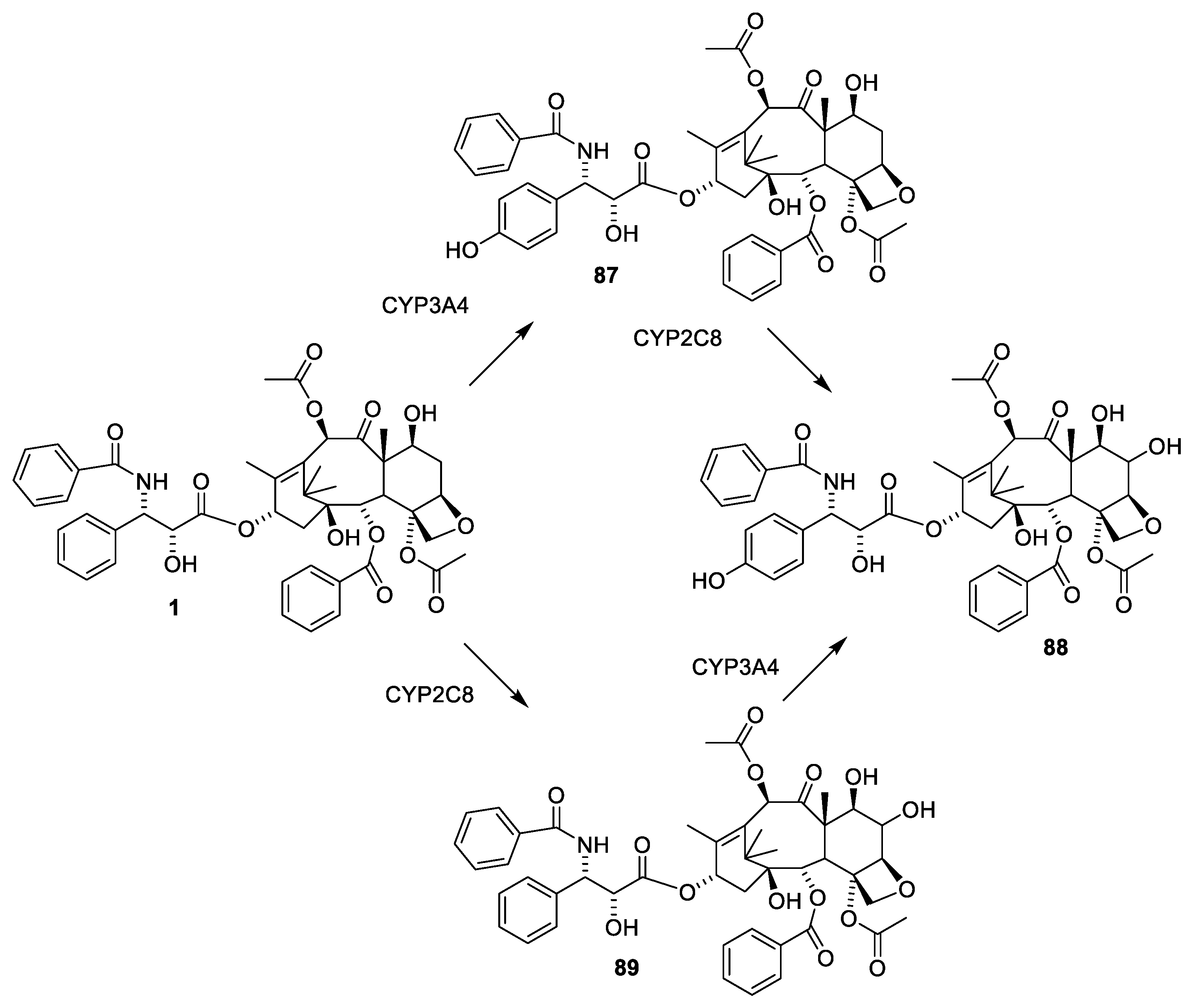 Molecules 27 05648 g024 550
