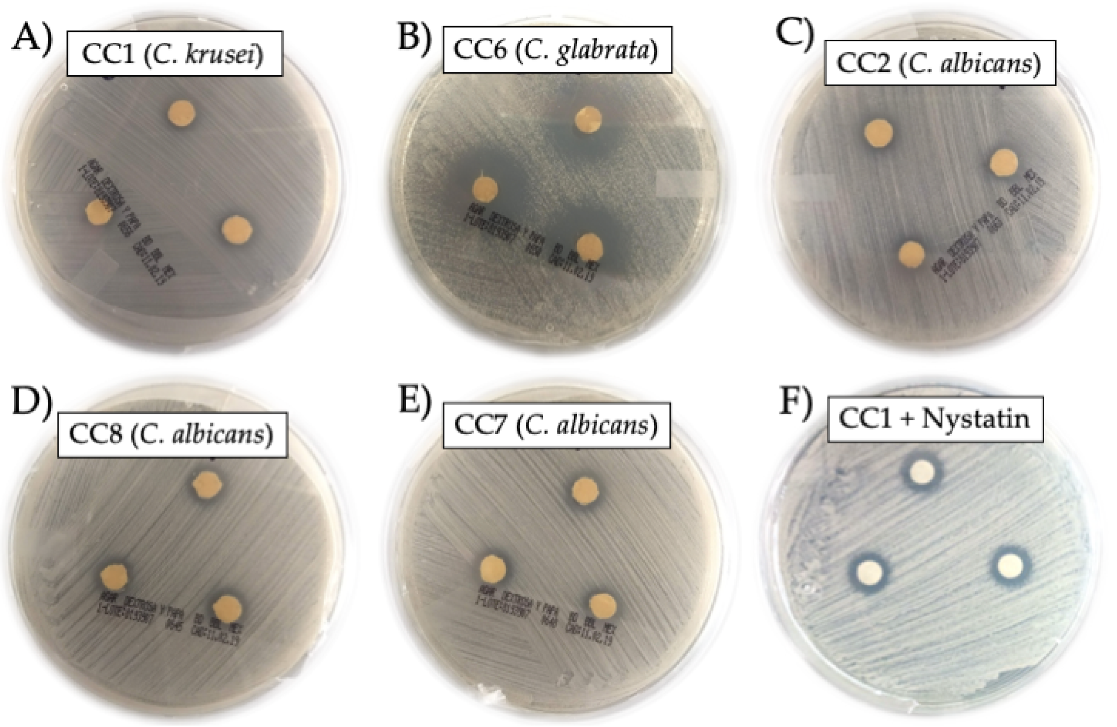 Molecules 27 05651 g002 Molecules 27 05651 g002