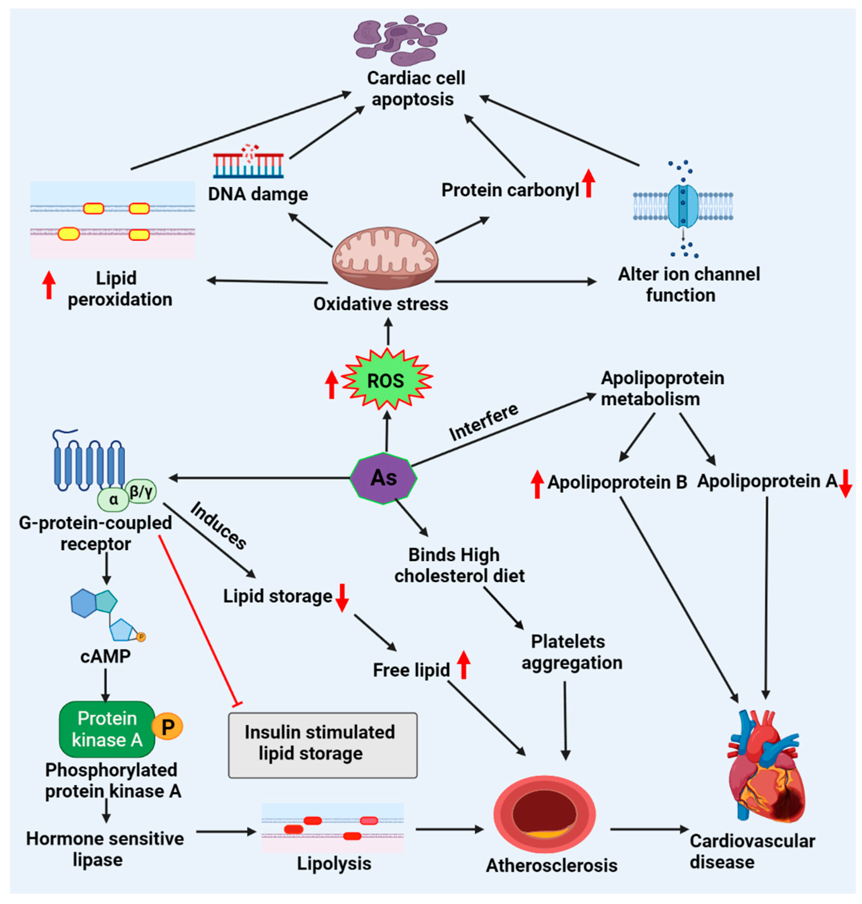 Molecules 27 05657 g002 550