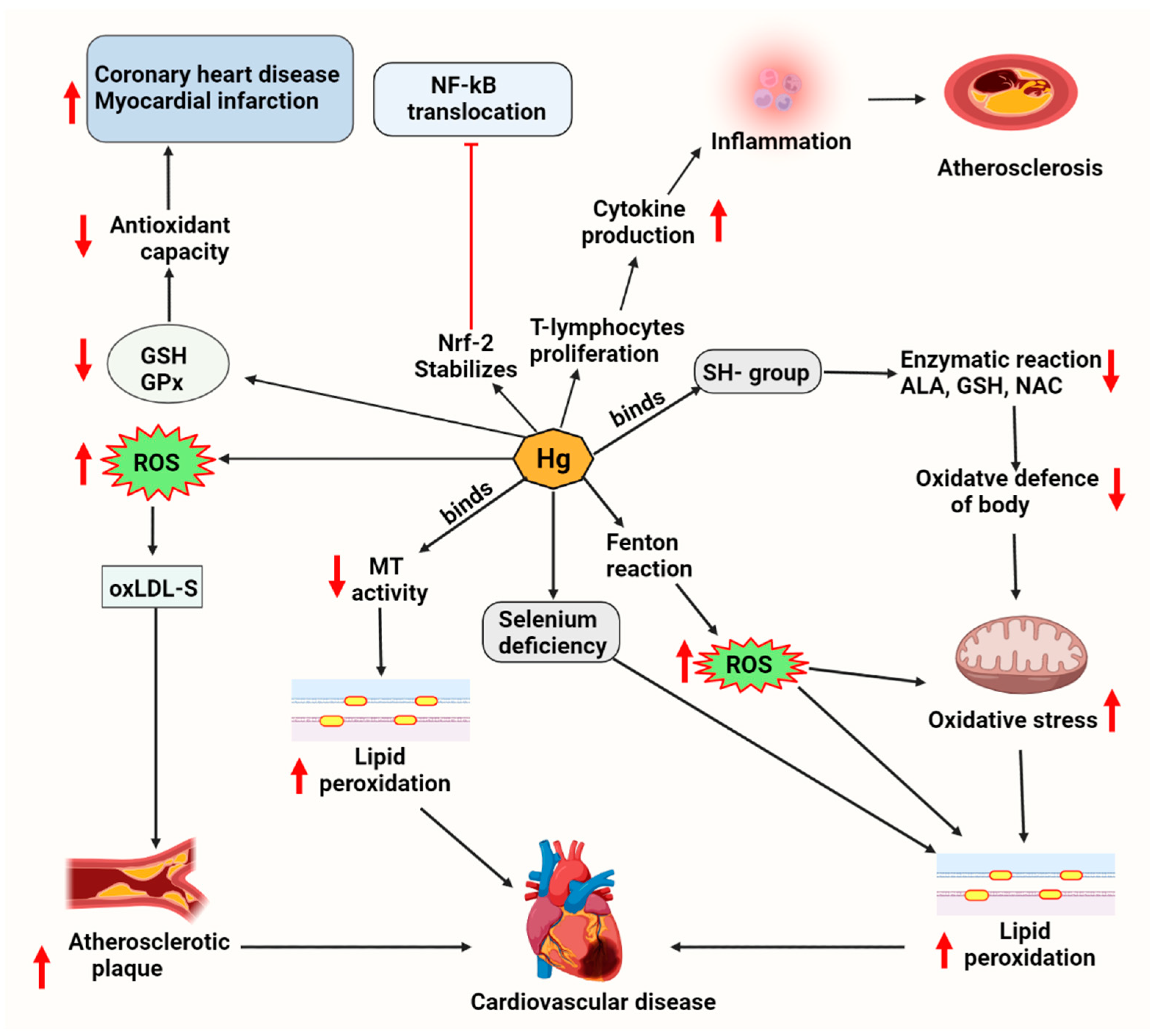 Molecules 27 05657 g003 550