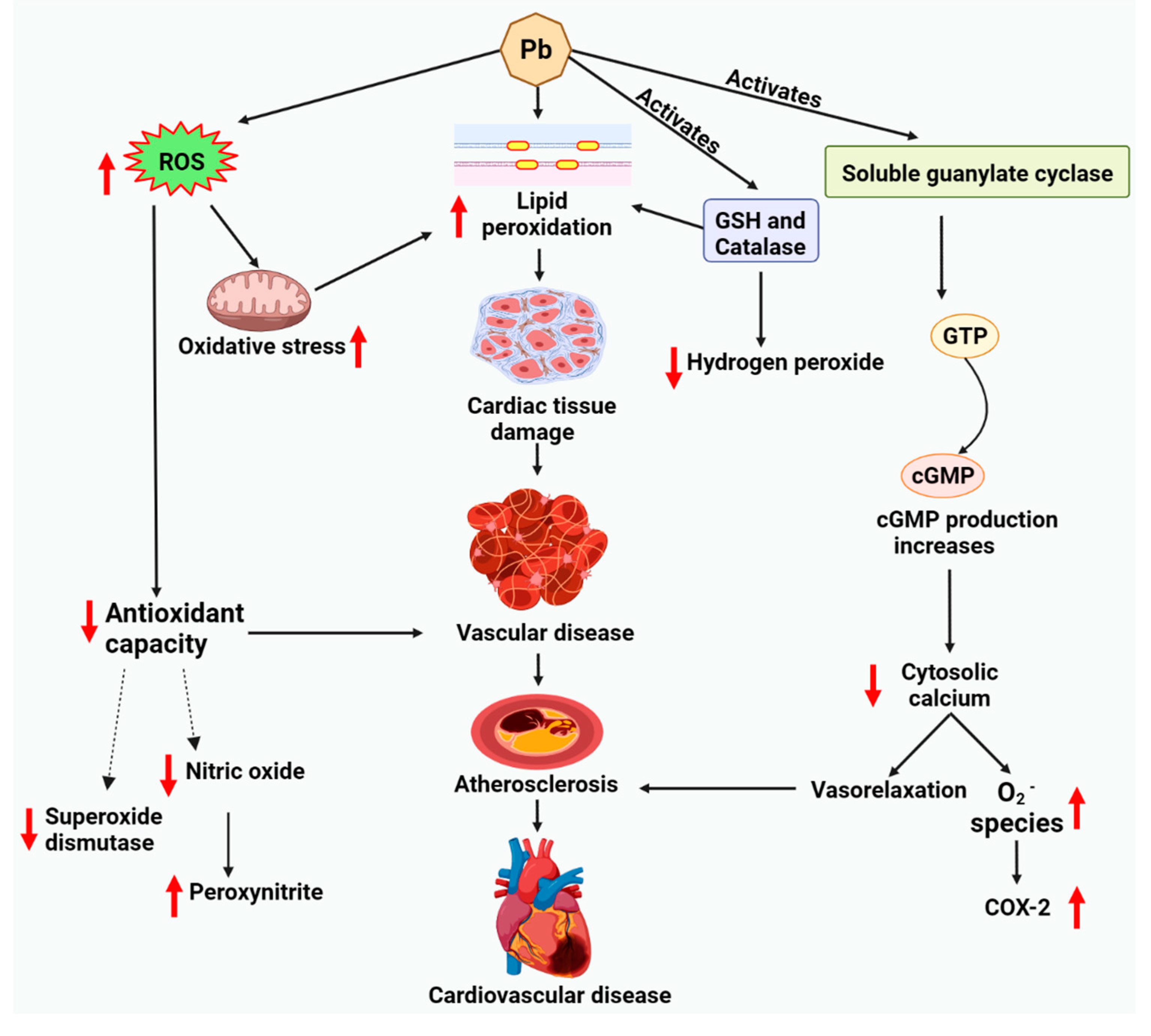 Molecules 27 05657 g004 550