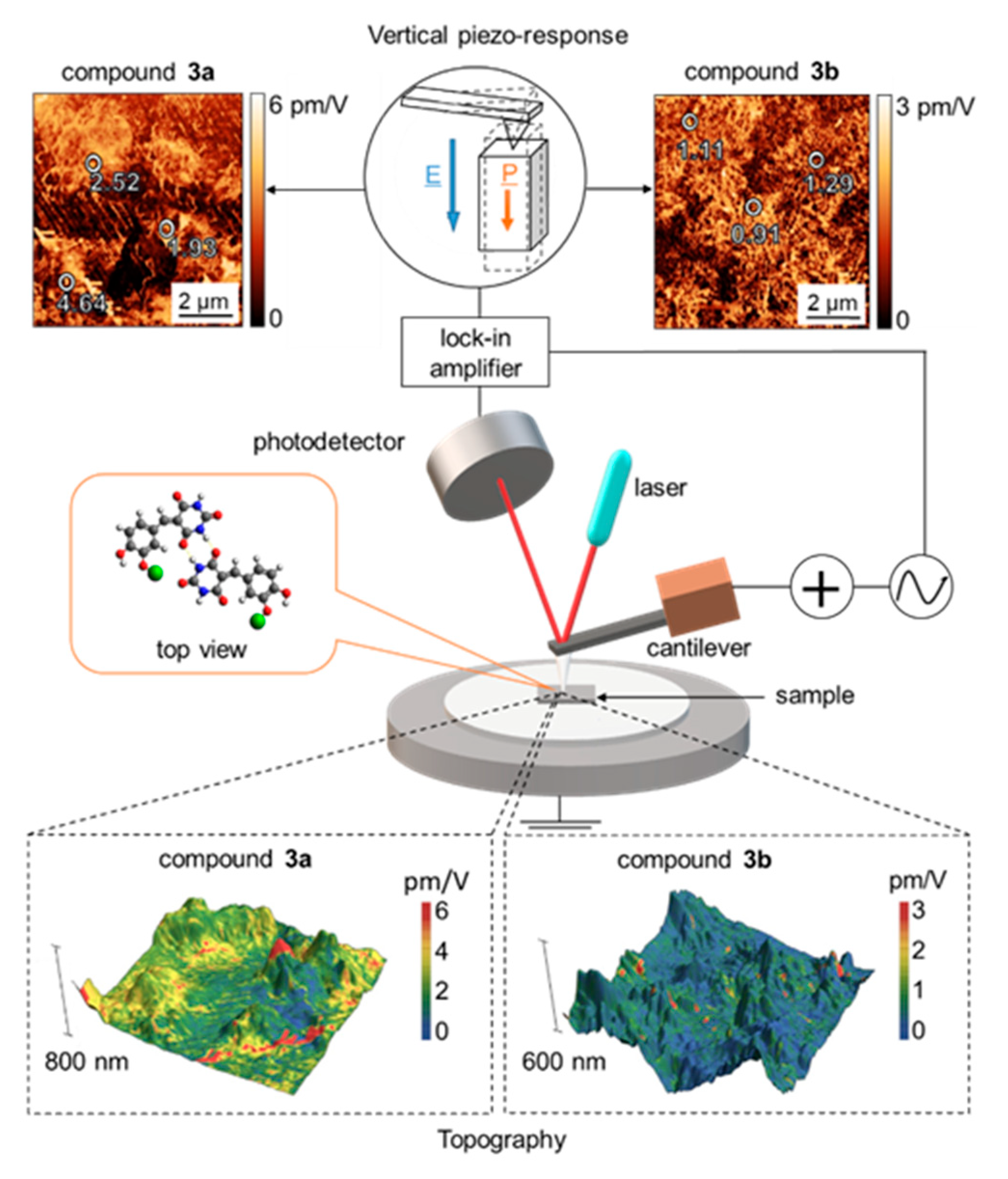 Molecules 27 05659 g003 550