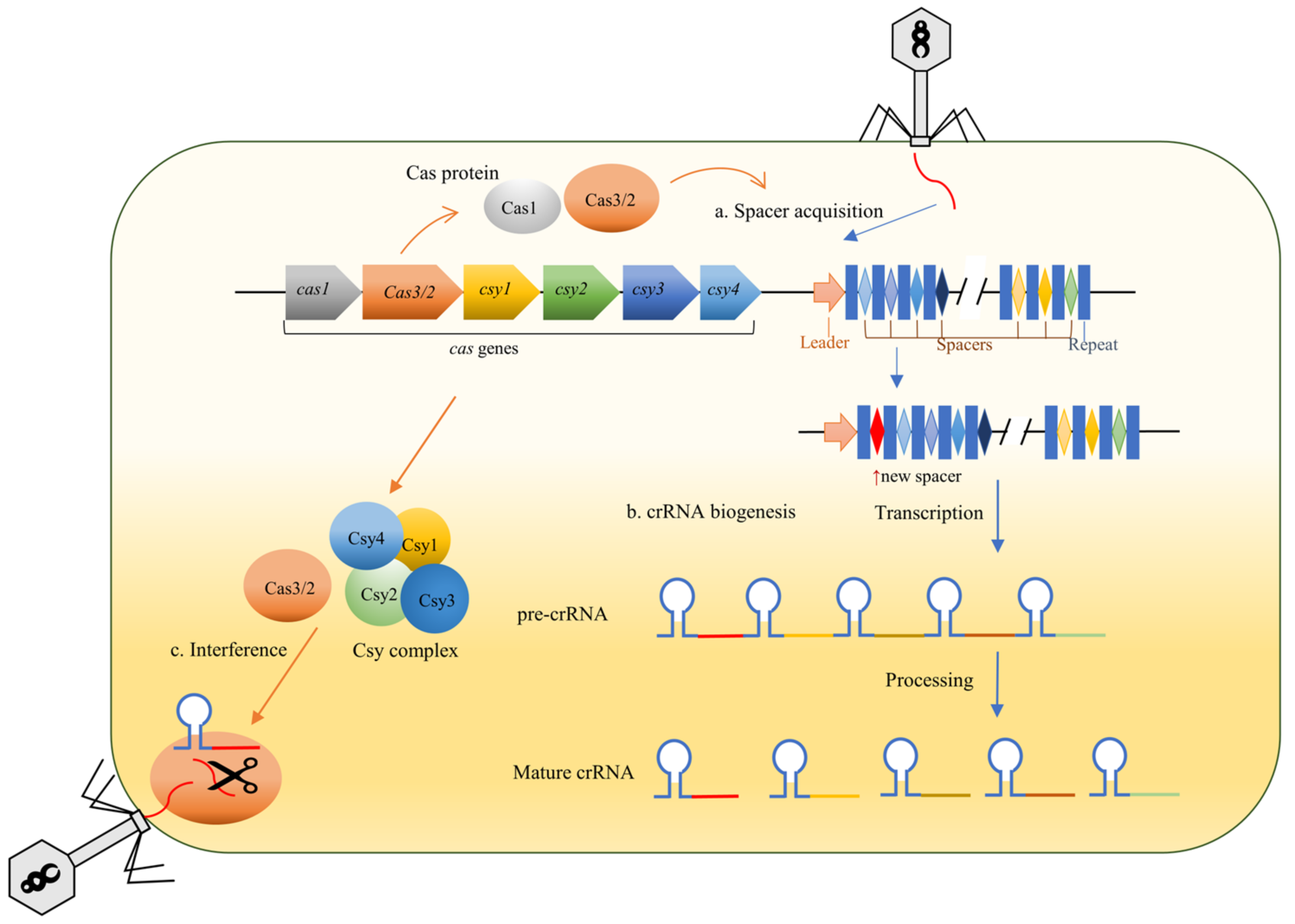 Molecules 27 05665 g001 550