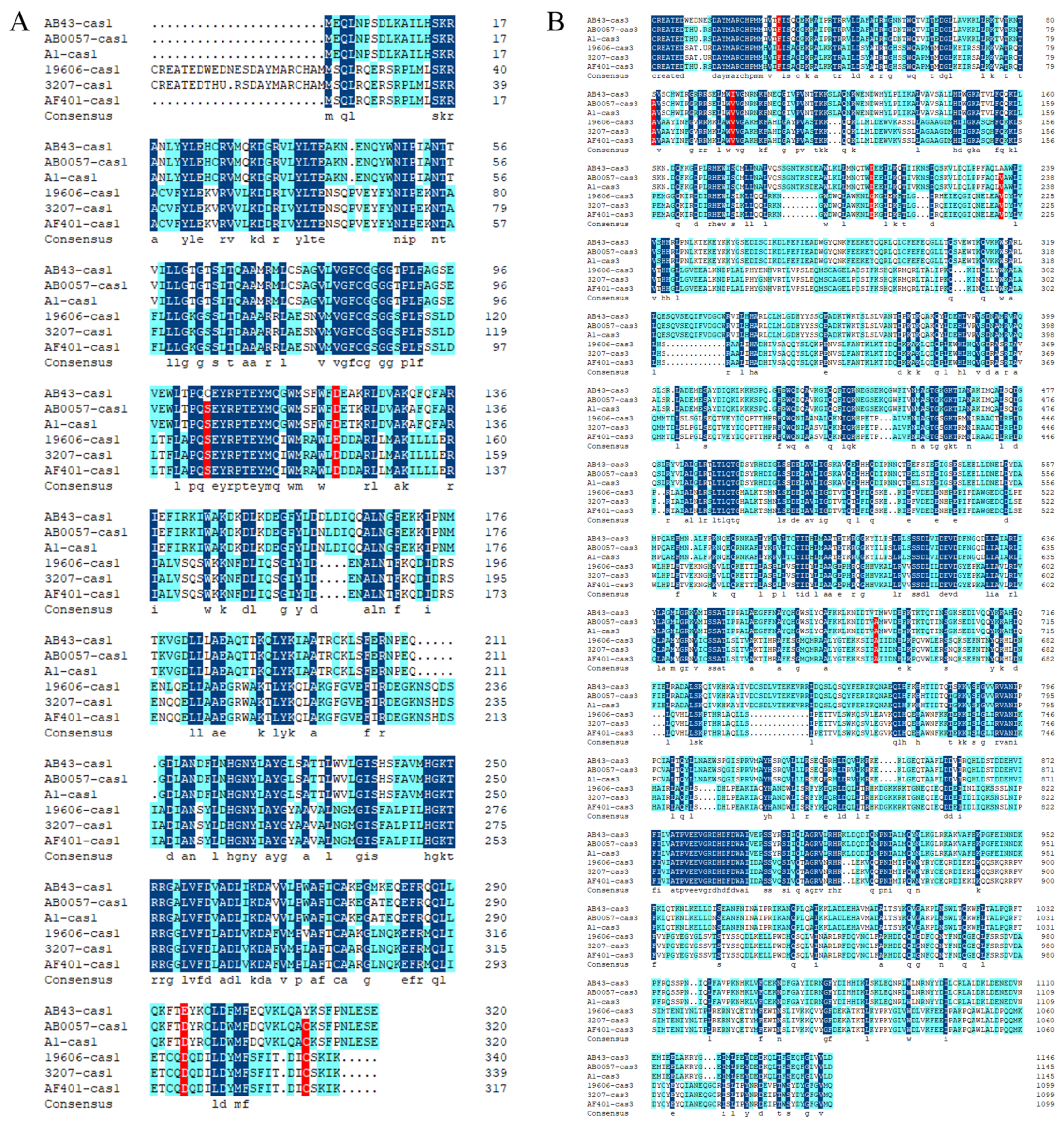 Molecules 27 05665 g004 550