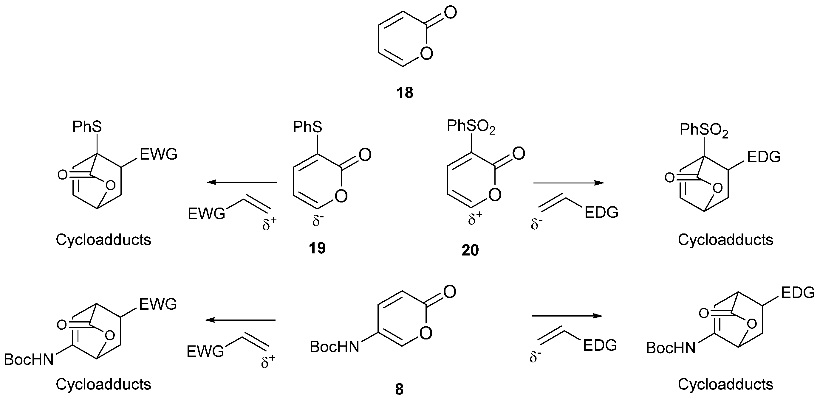 Molecules 27 05666 g002