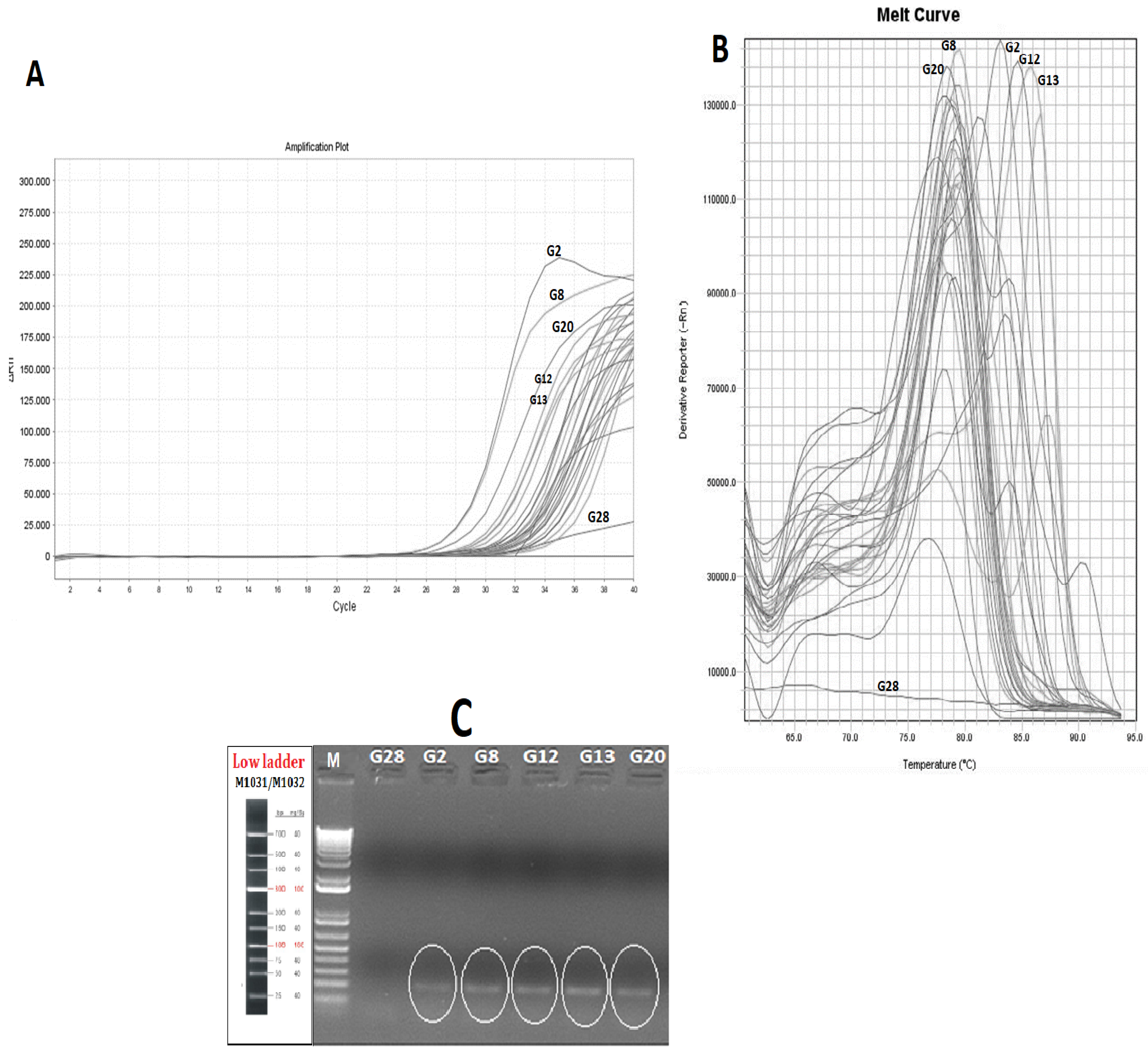 Molecules 27 05674 g001 550