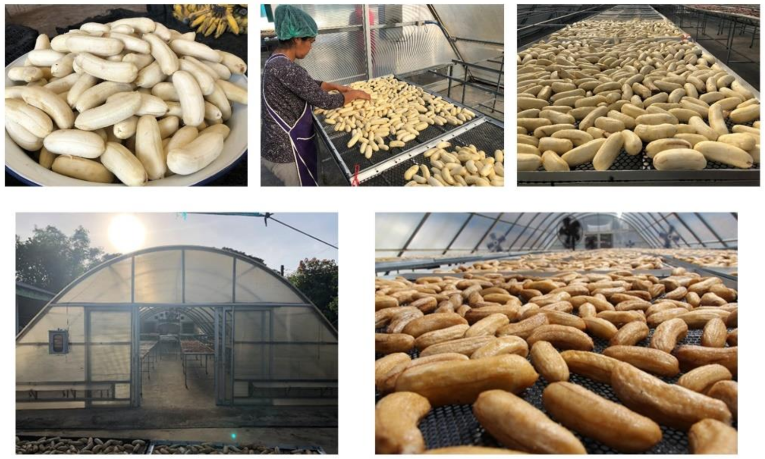 Molecules 27 05675 g010