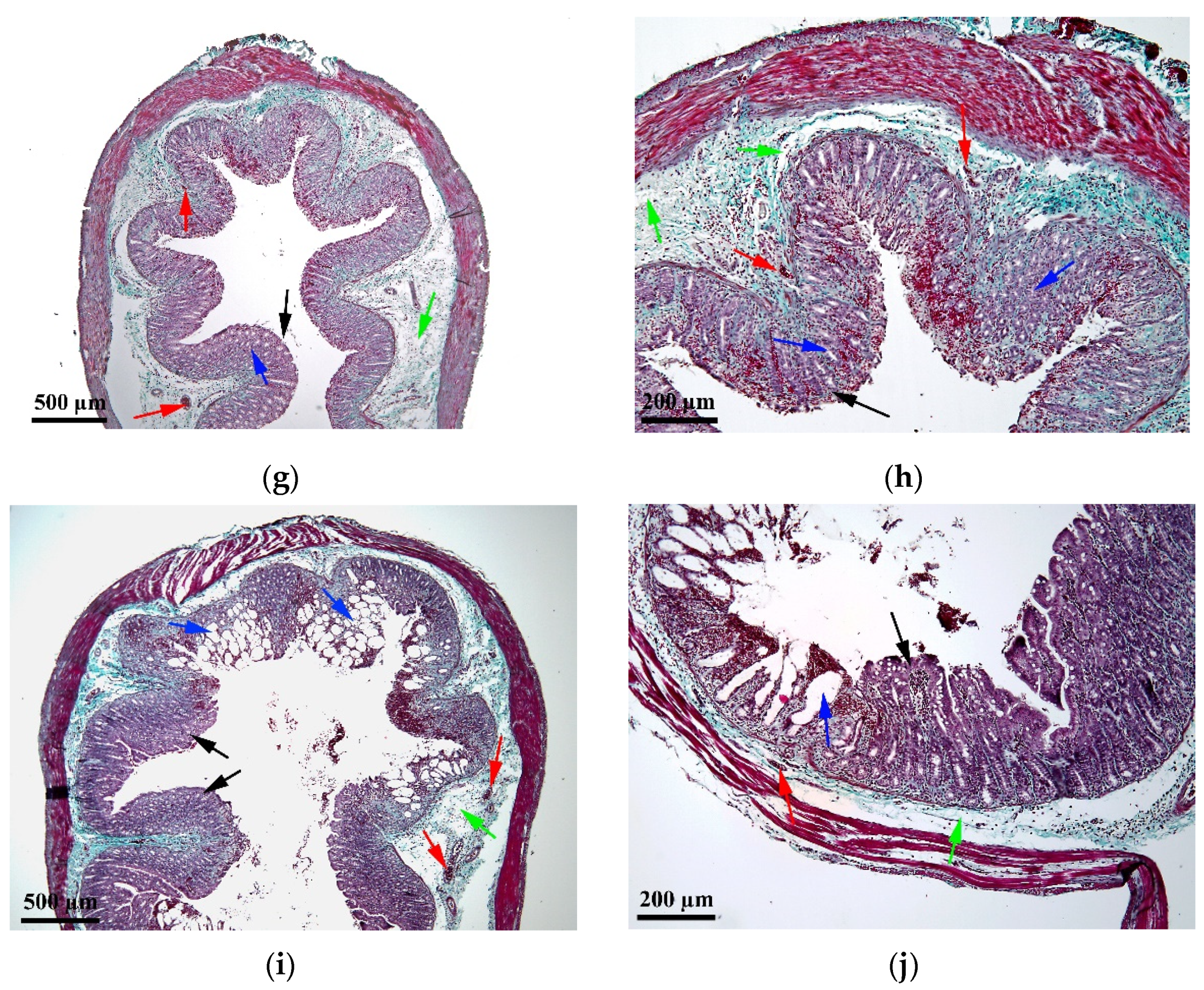 Molecules 27 05680 g004b