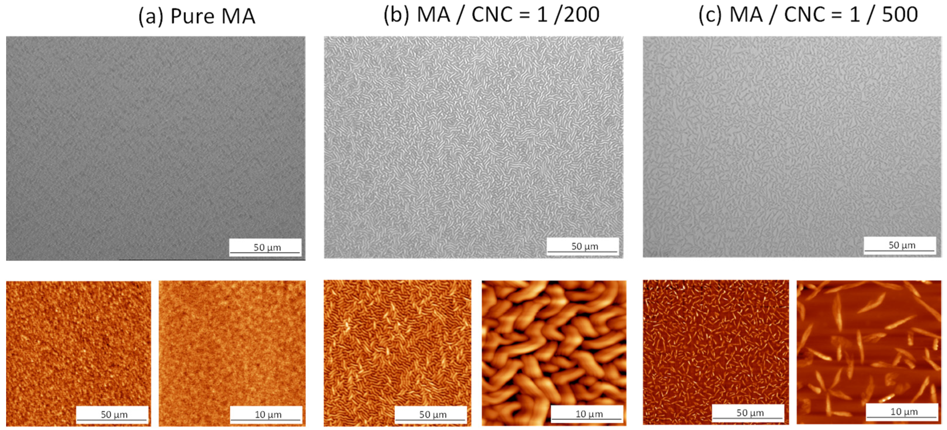Molecules 27 05683 g001 Molecules 27 05683 g001