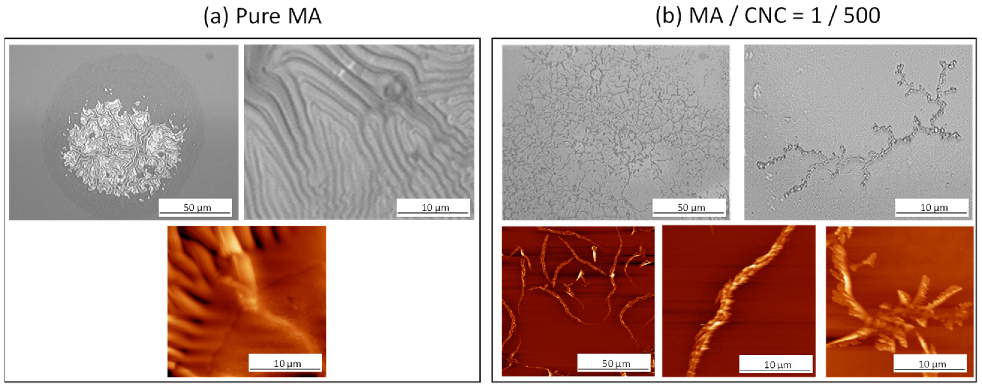 Molecules 27 05683 g002 Molecules 27 05683 g002