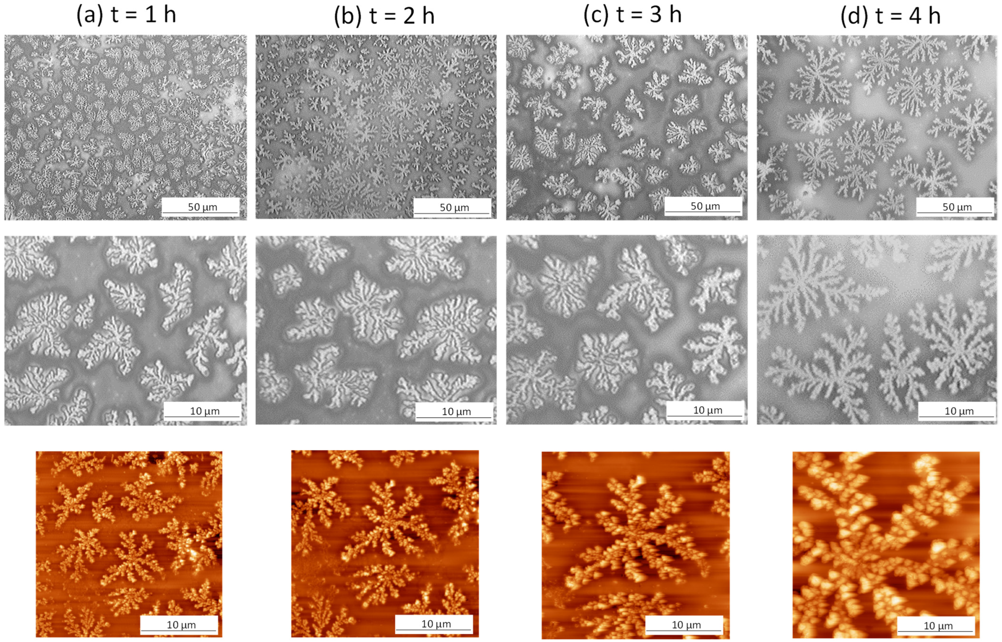 Molecules 27 05683 g003 Molecules 27 05683 g003