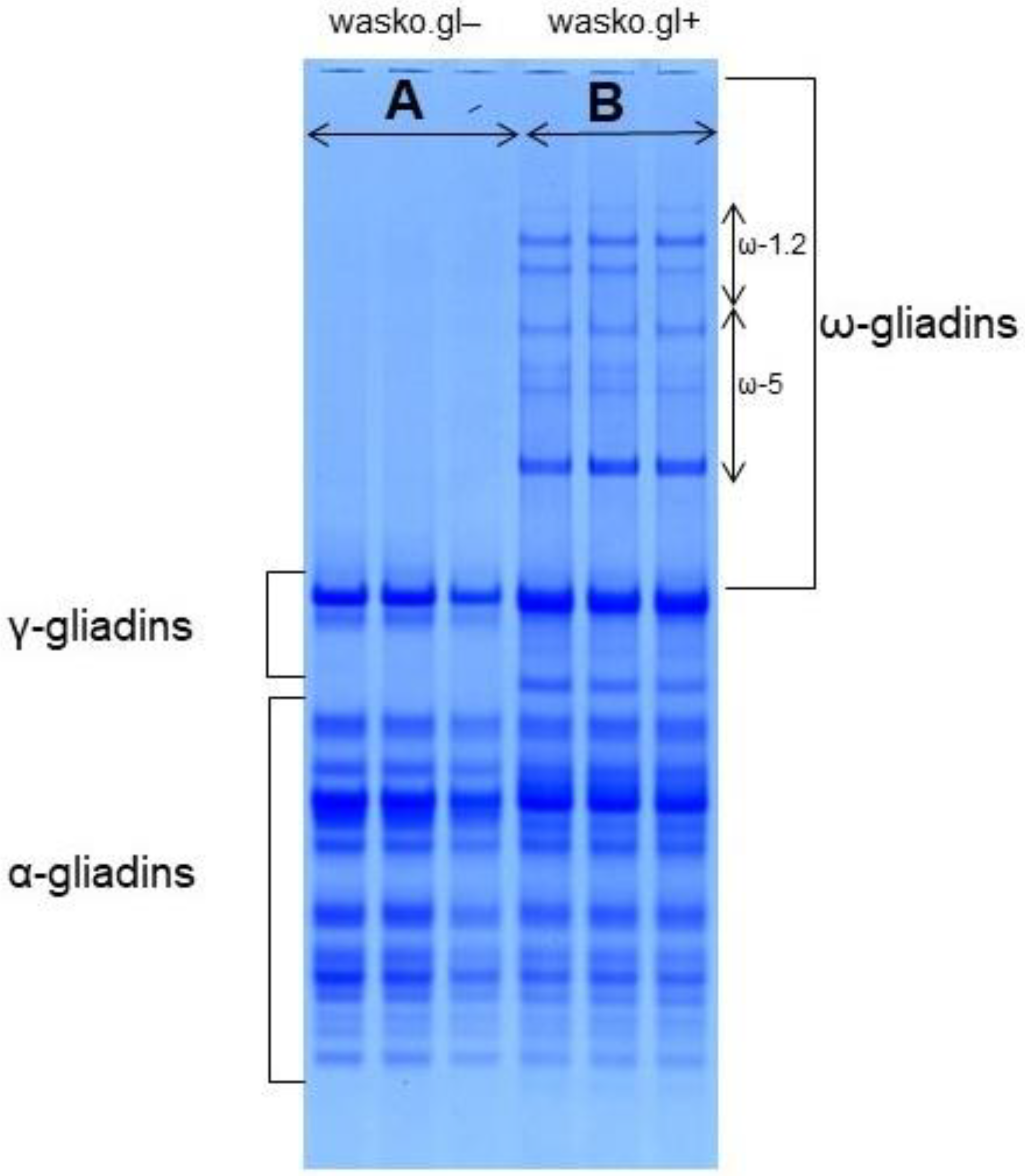 Molecules 27 05684 g001 Molecules 27 05684 g001