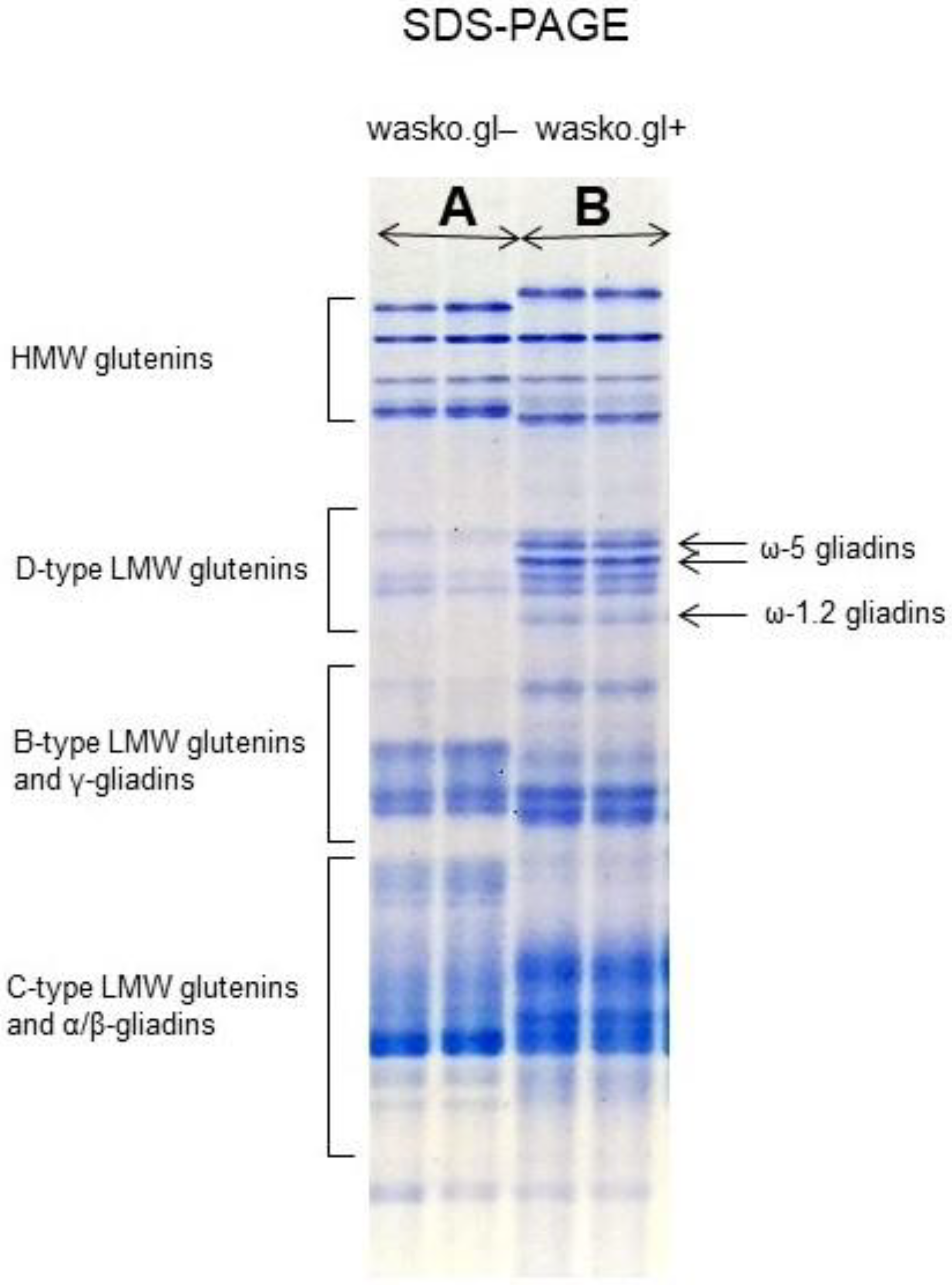 Molecules 27 05684 g002 Molecules 27 05684 g002