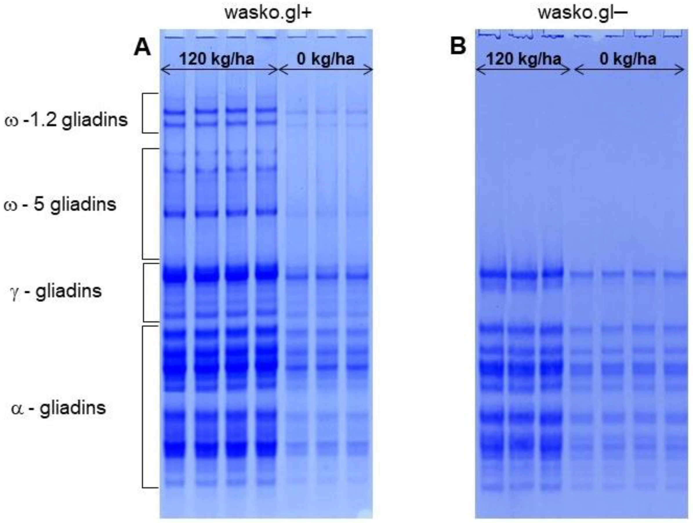 Molecules 27 05684 g003 Molecules 27 05684 g003