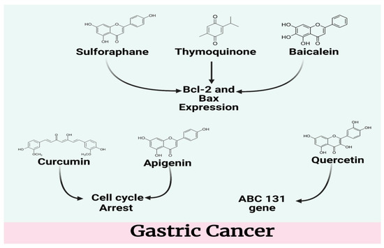 Natural Small Molecules in Gastrointestinal Tract and
