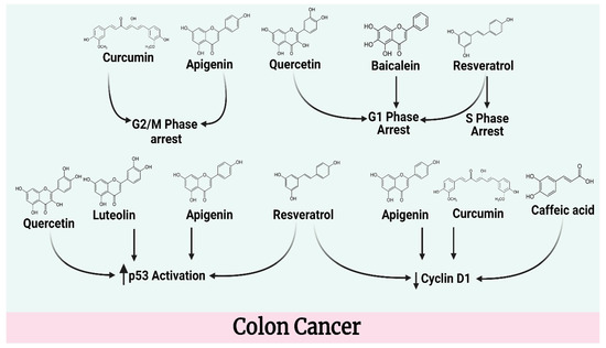 【Mourning Phase】 Genuine selective caspase-2 inhibition with new irreversible